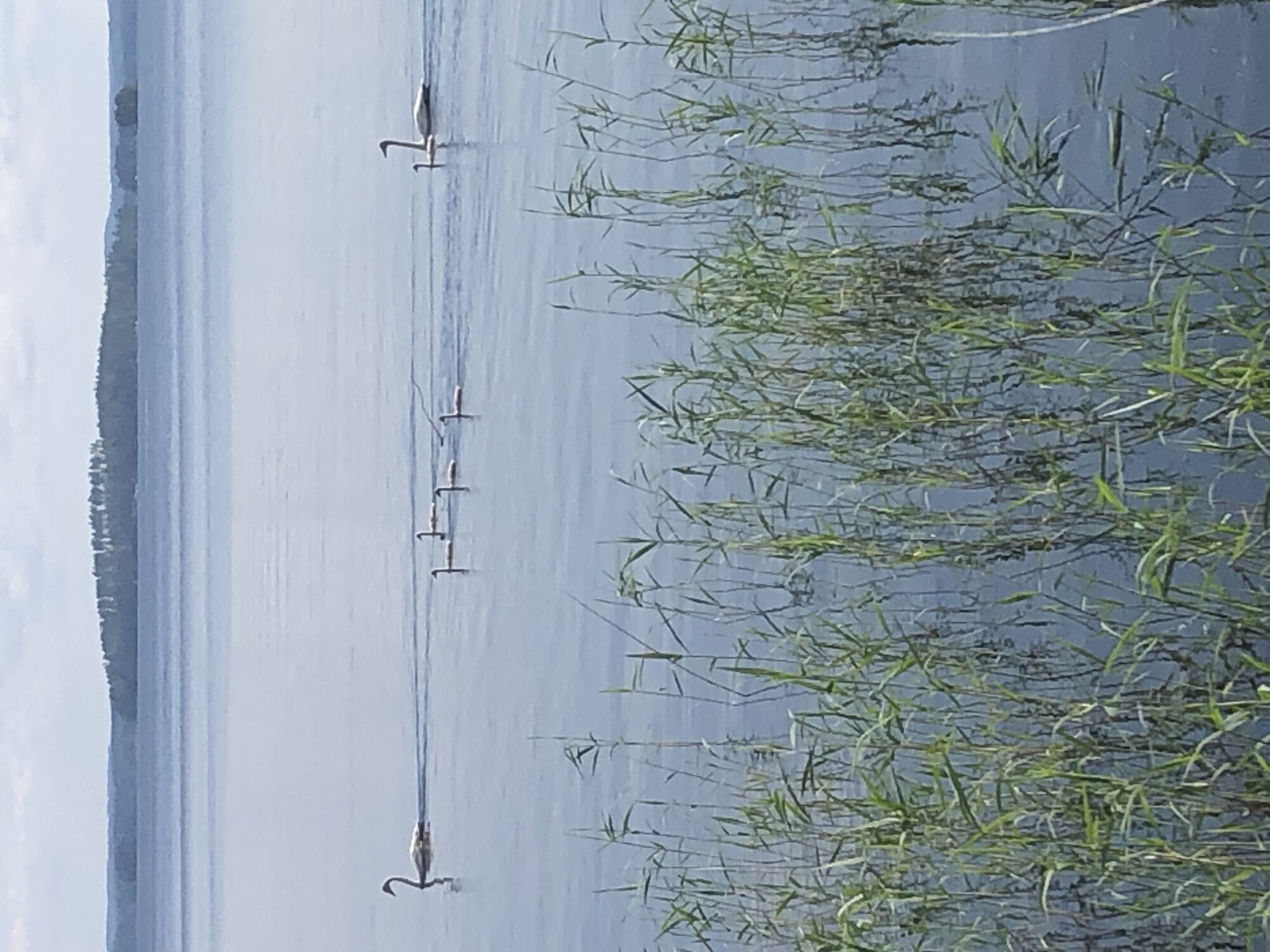 Valokuvaaja: Päivi Mikkola