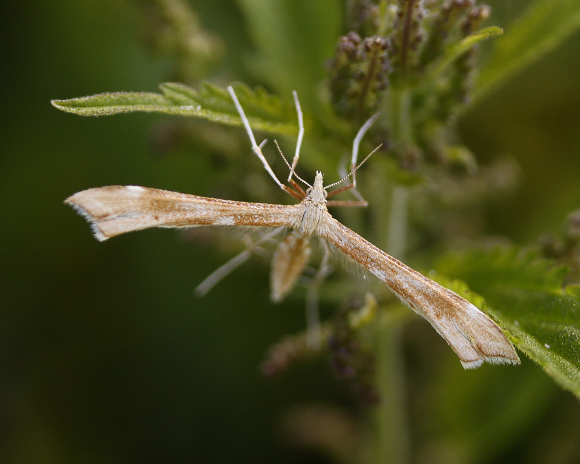 Valokuvaaja: Ritva Nieminen Valokuvaaja: Ritva Nieminen