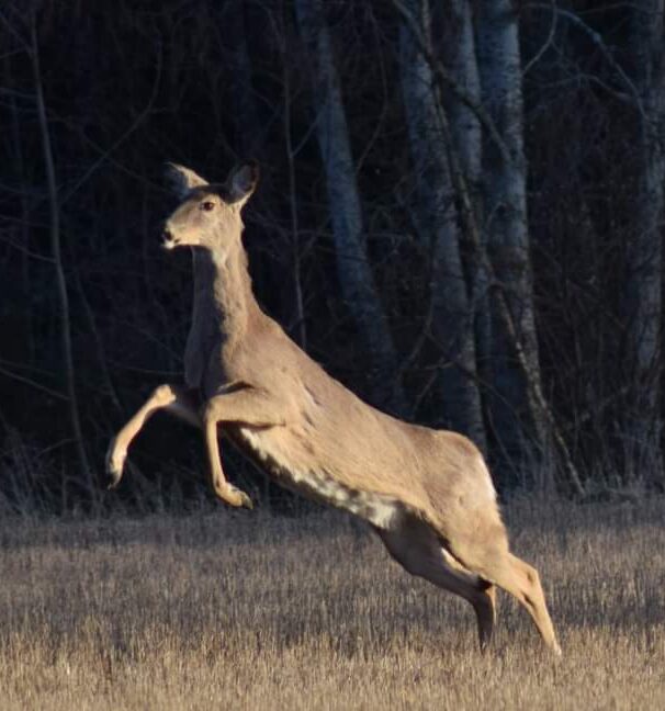 Valokuvaaja: Sonja Nokkala