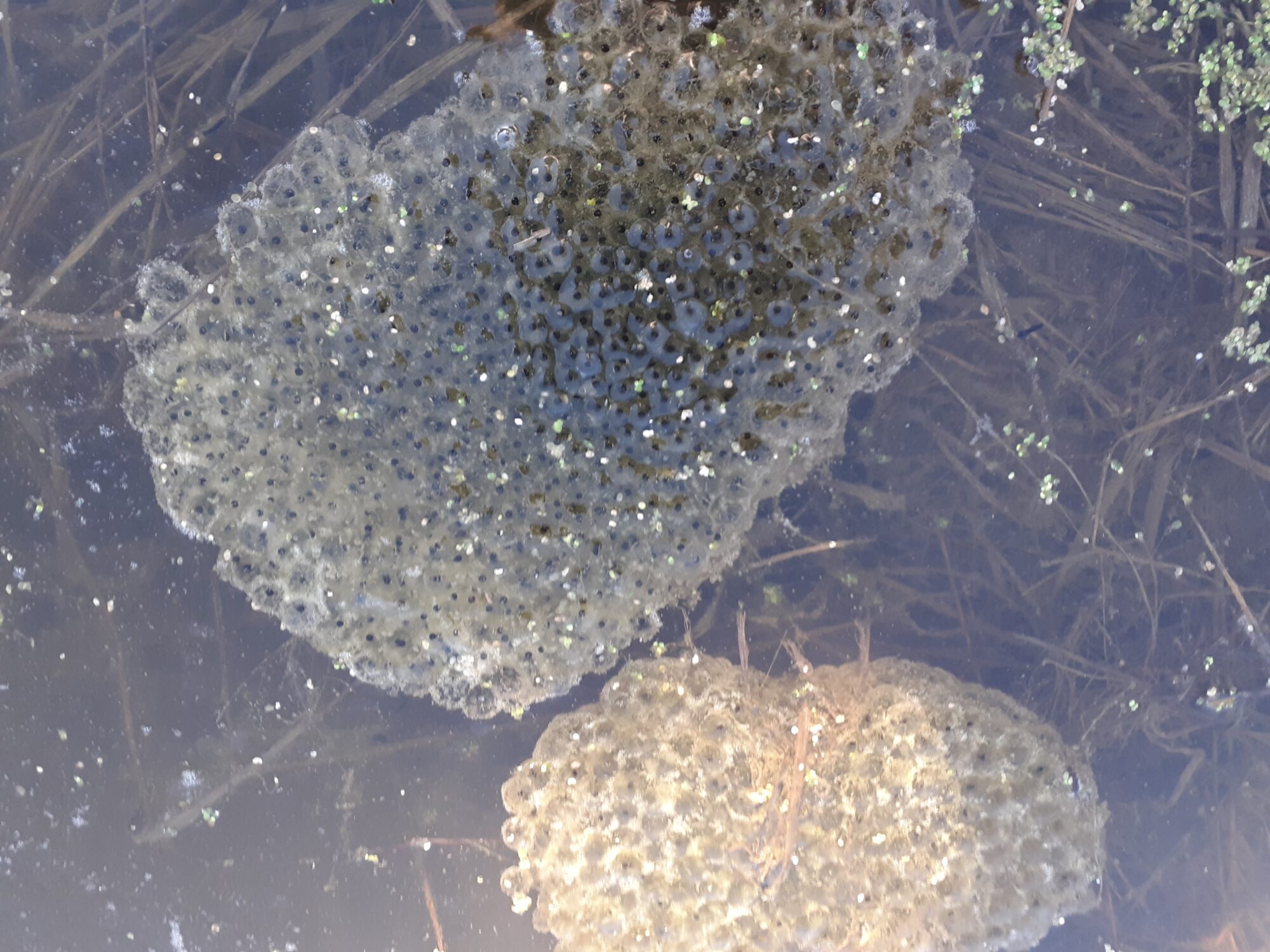 Valokuvaaja: Maarit Pietiläinen