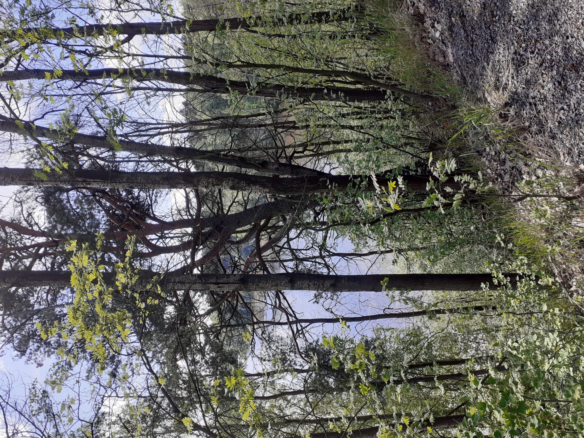 Valokuvaaja: Maarit Pietiläinen