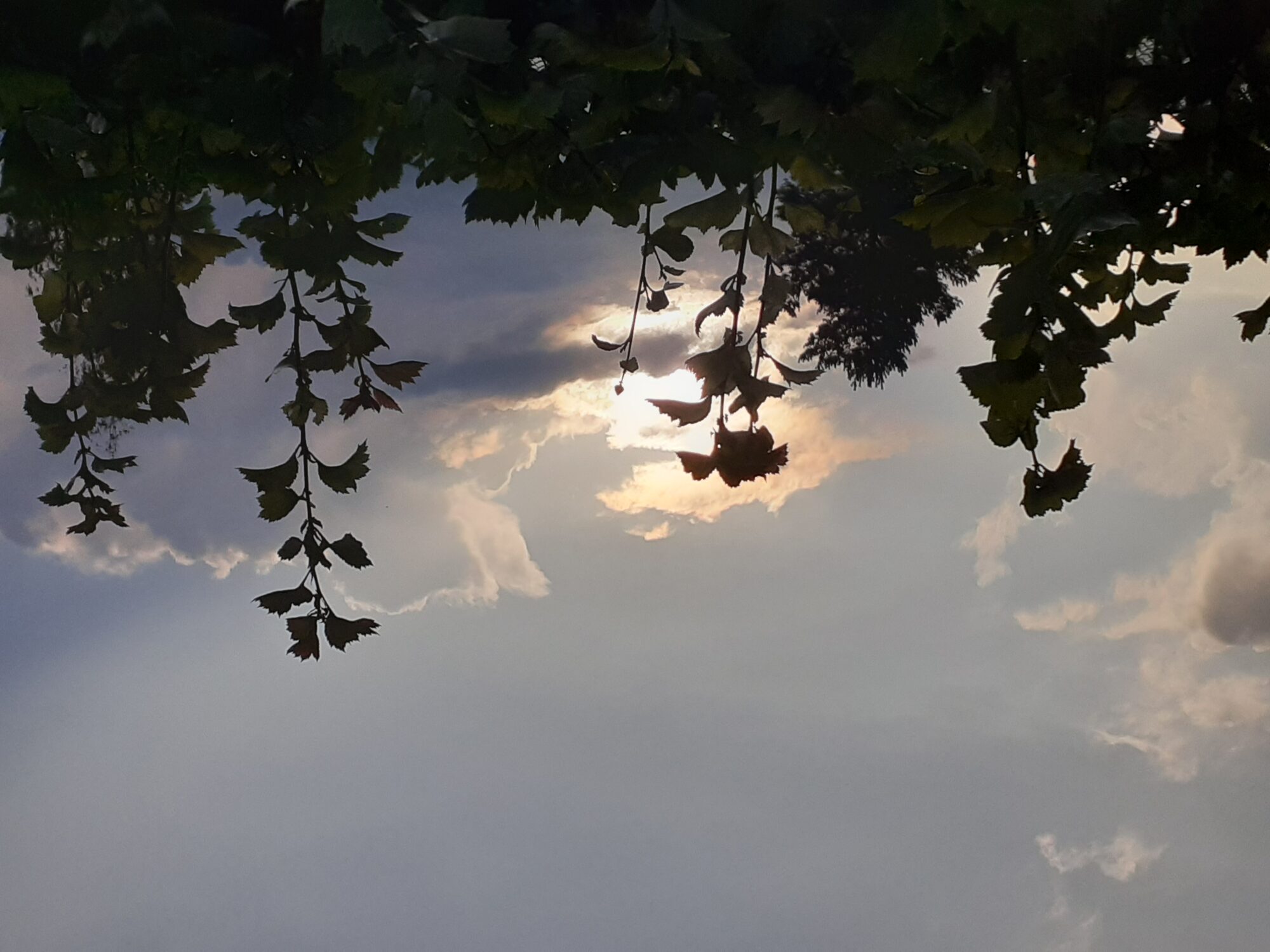 Valokuvaaja: Maarit Pietiläinen