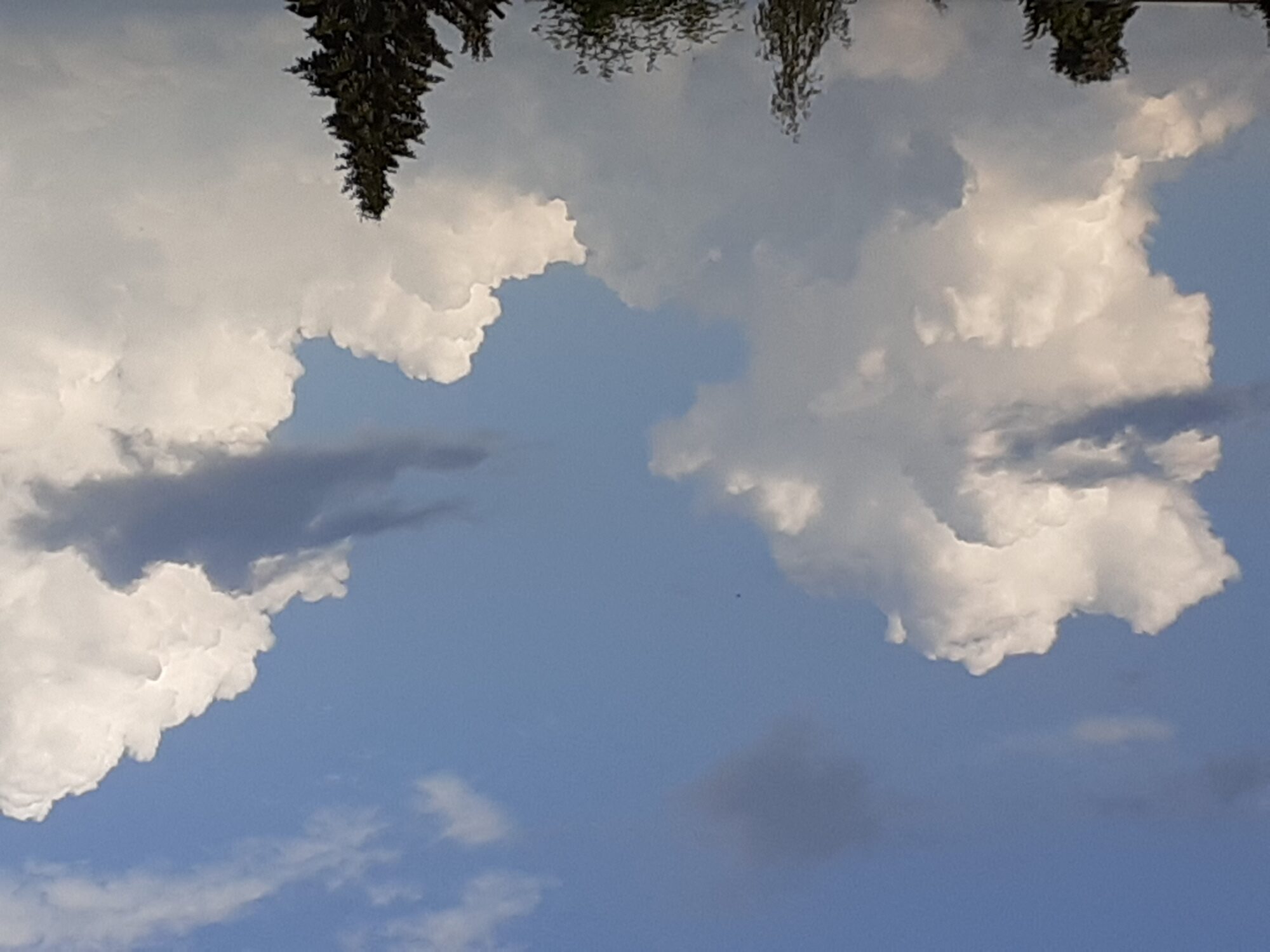 Valokuvaaja: Maarit Pietiläinen