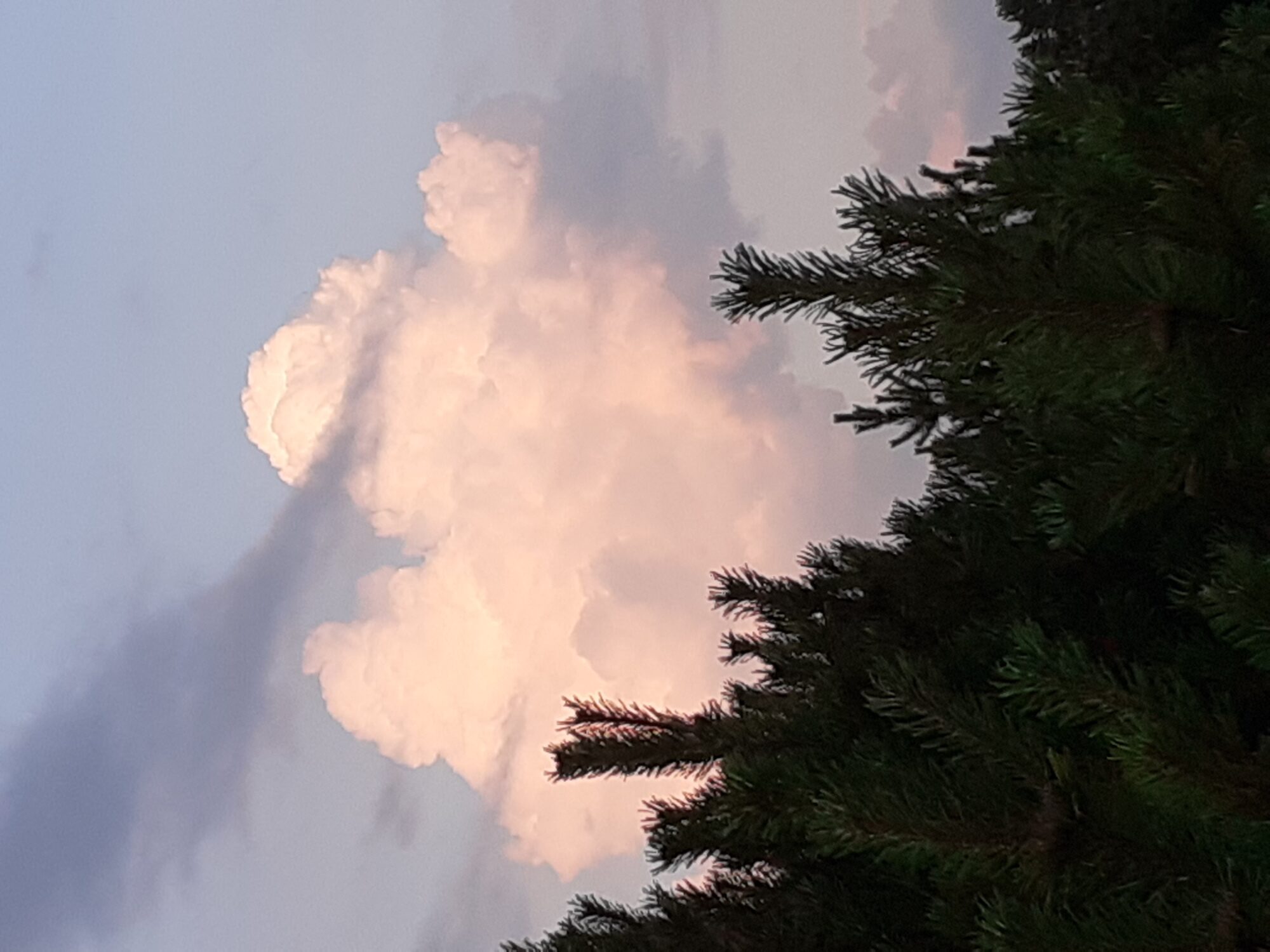 Valokuvaaja: Maarit Pietiläinen