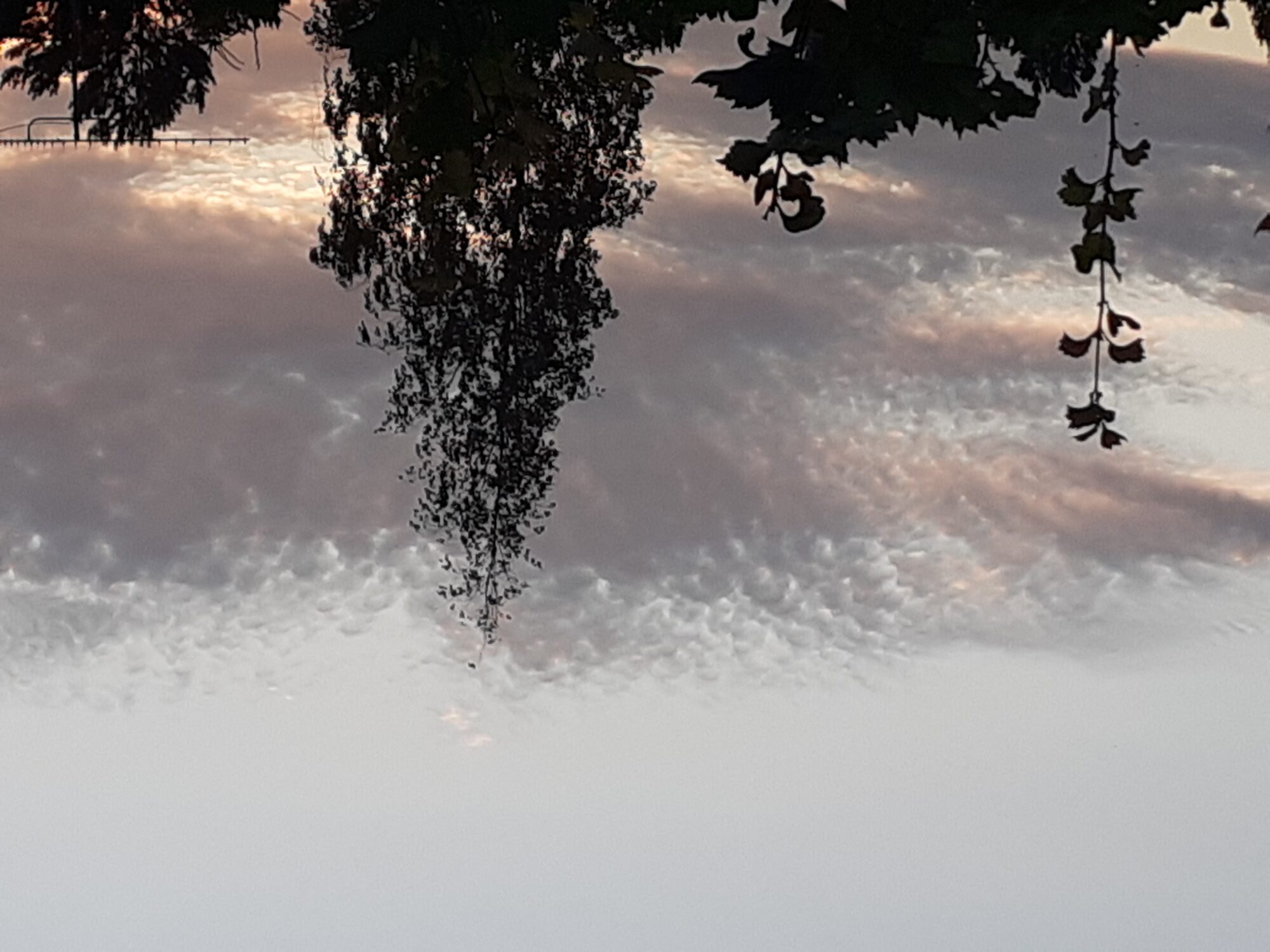 Valokuvaaja: Maarit Pietiläinen