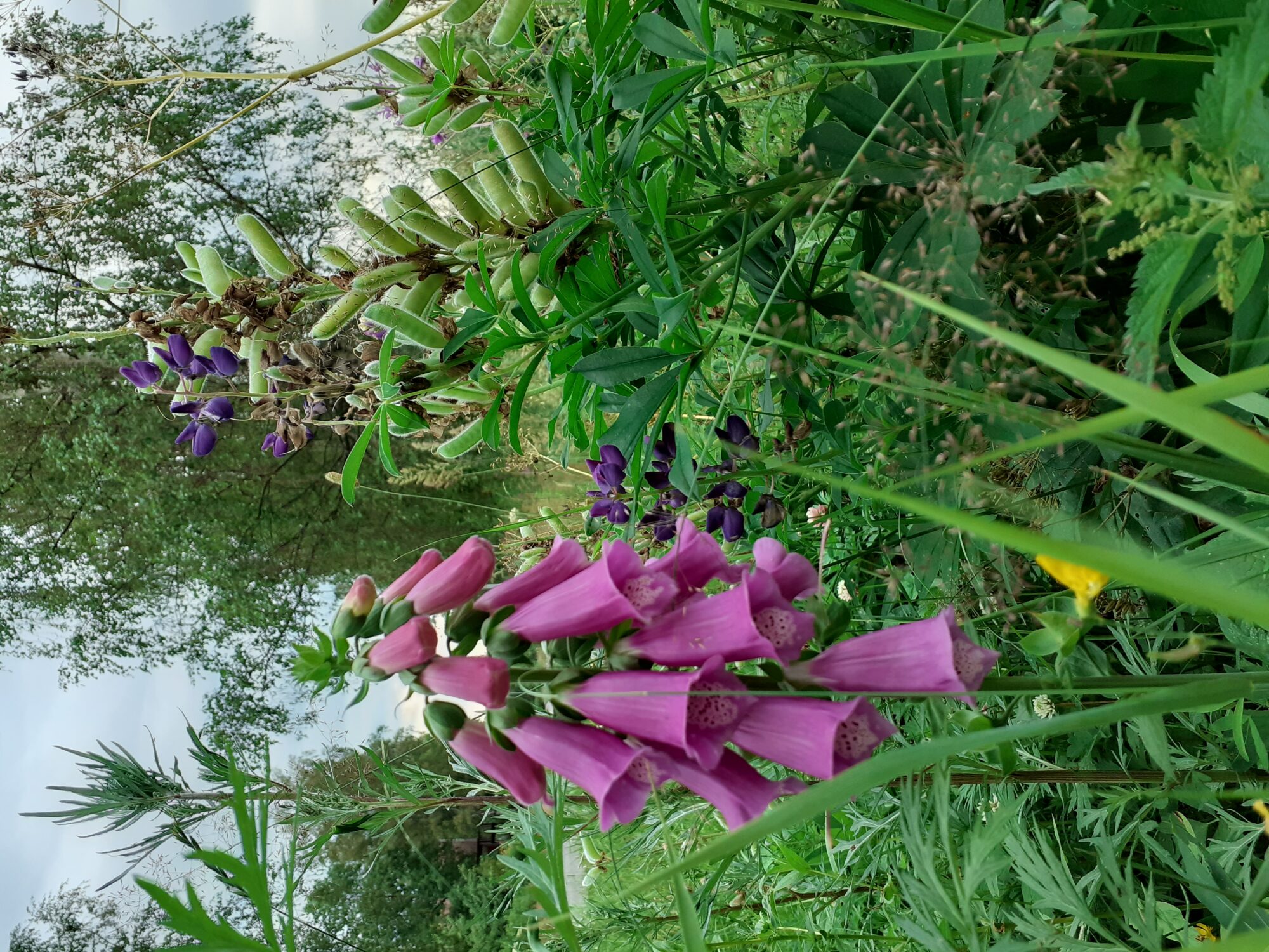 Valokuvaaja: Maarit Pietiläinen