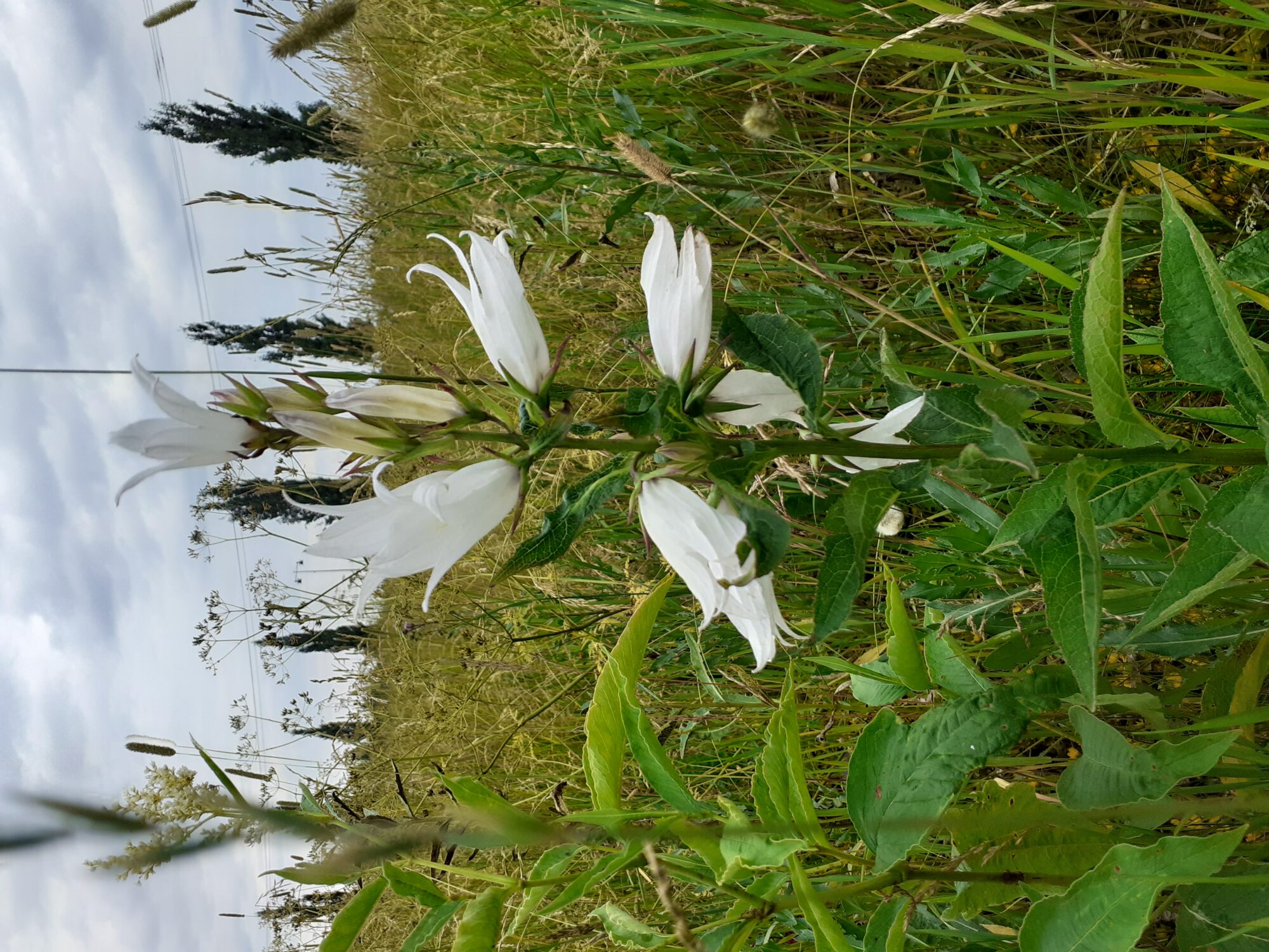 Valokuvaaja: Maarit Pietiläinen
