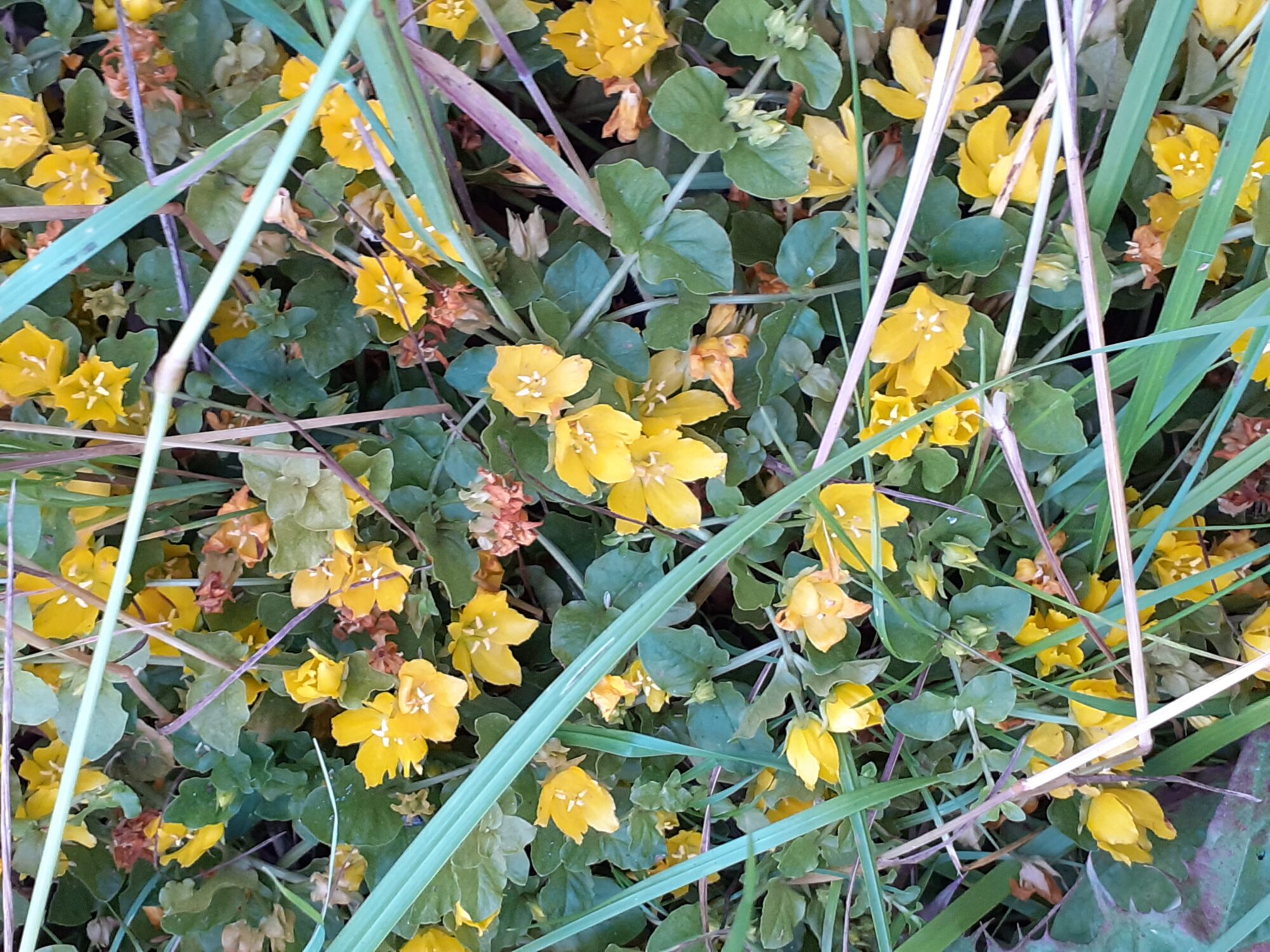 Valokuvaaja: Maarit Pietiläinen