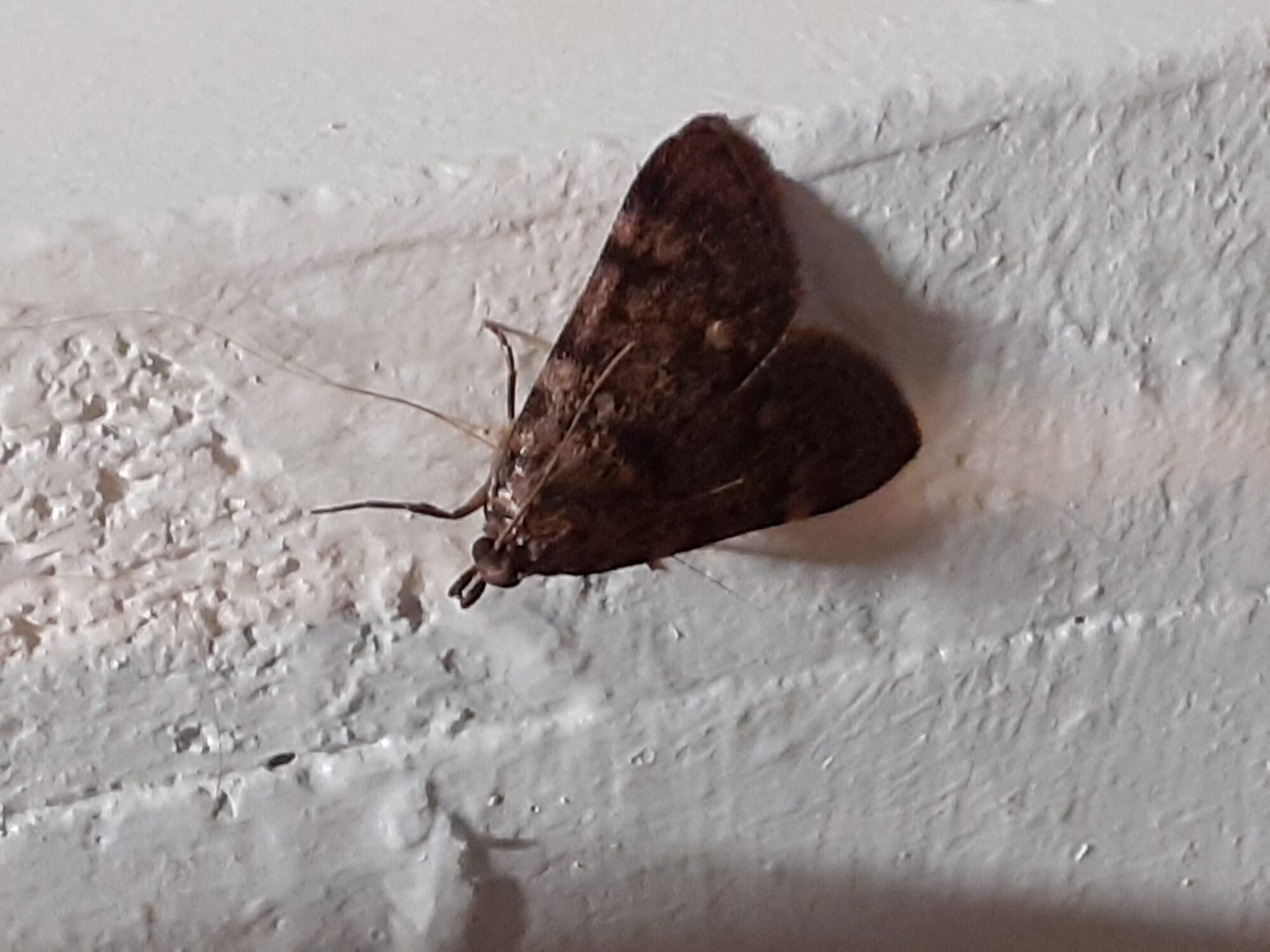 Valokuvaaja: Maarit Pietiläinen