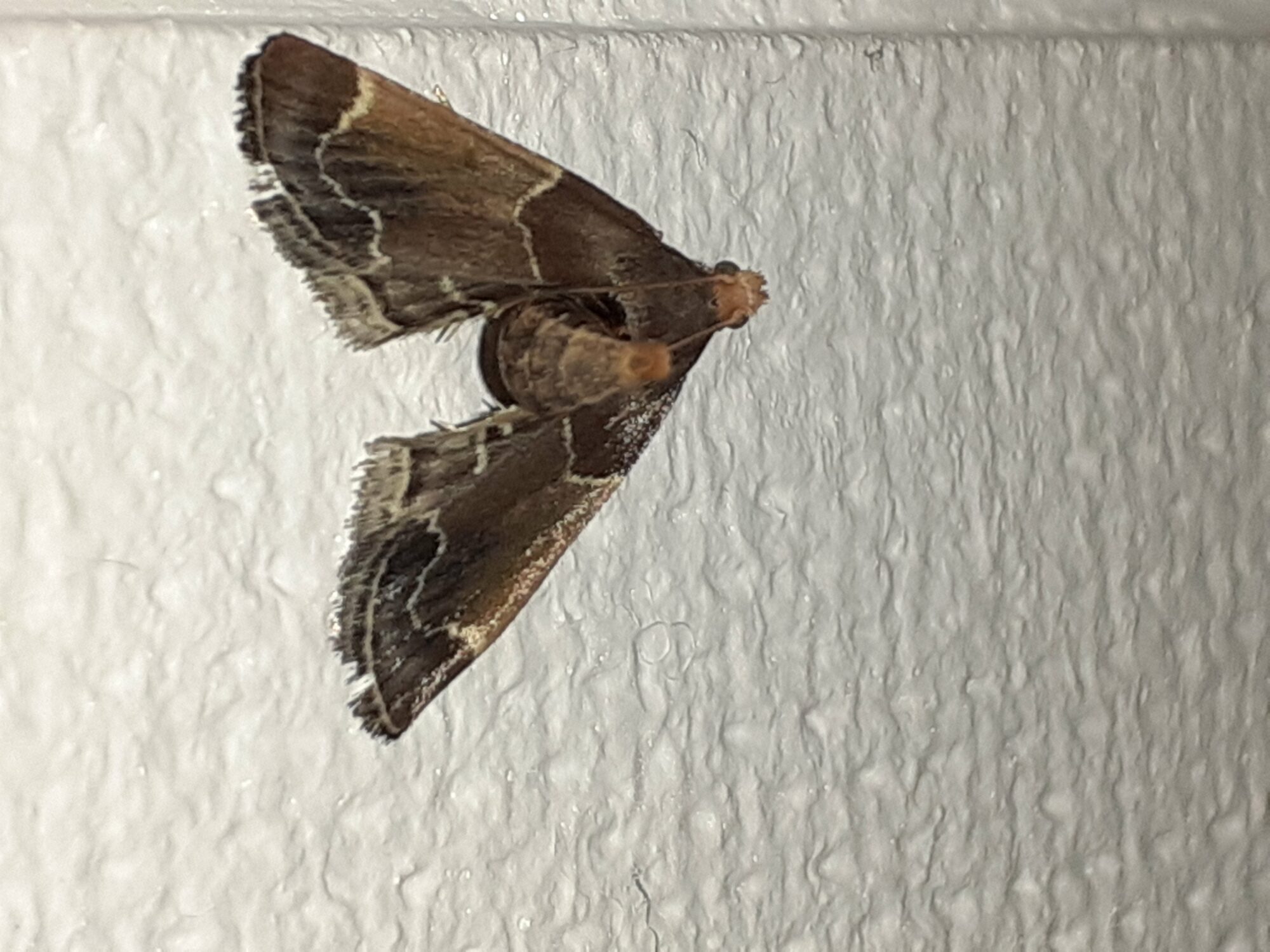 Valokuvaaja: Maarit Pietiläinen