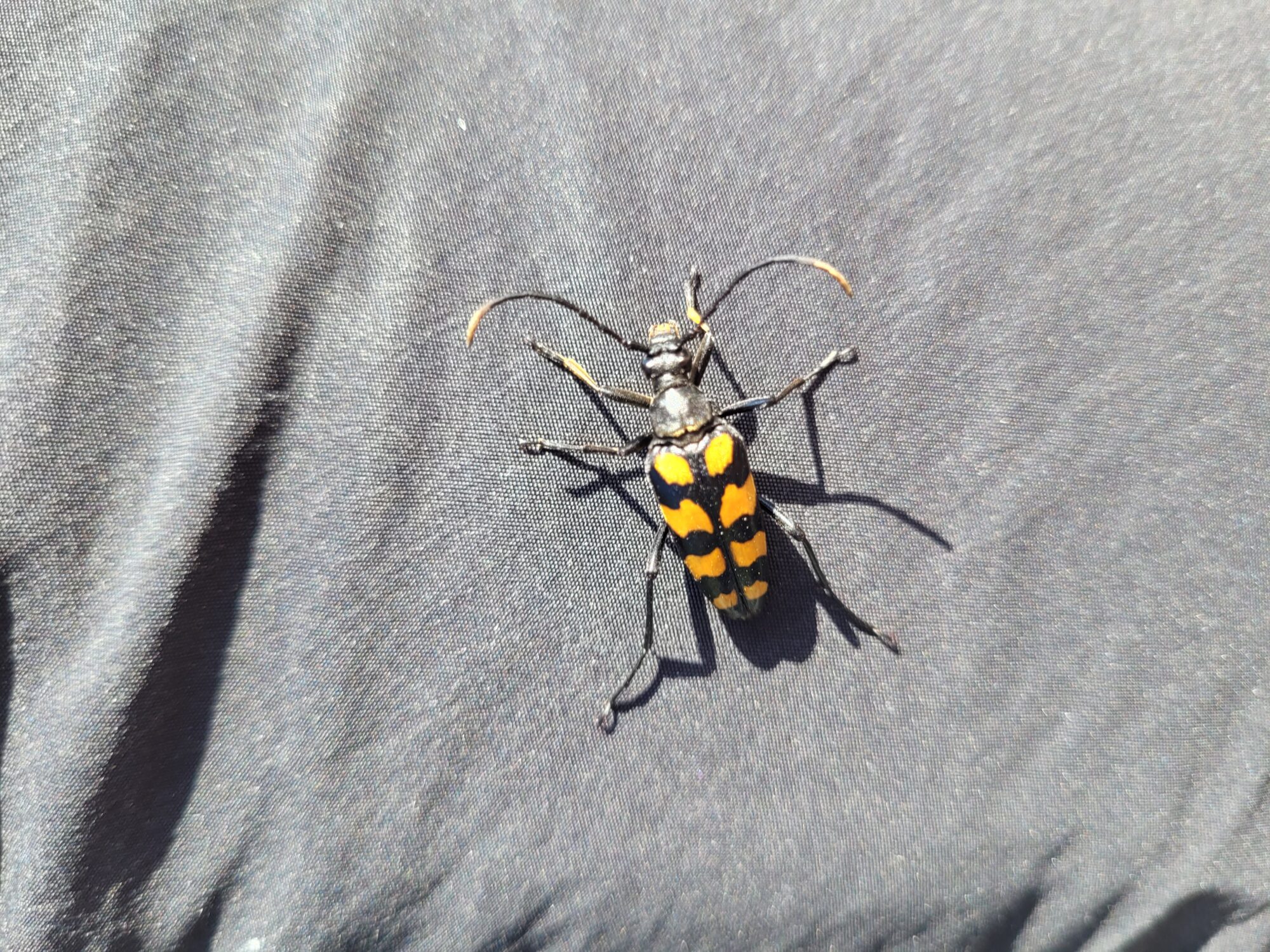 Valokuvaaja: Henna Lähdeniemi