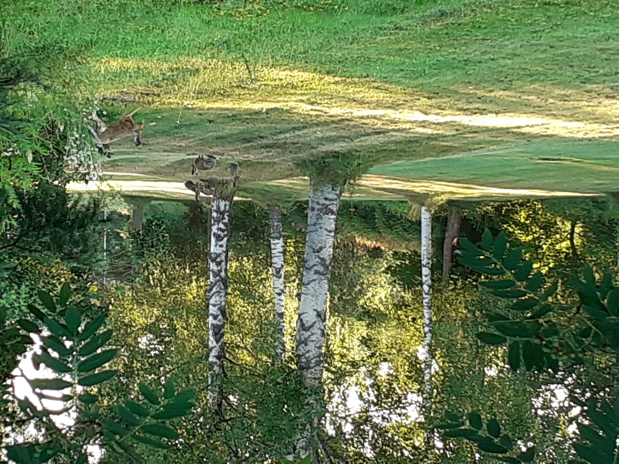 Valokuvaaja: Maarit Pietiläinen