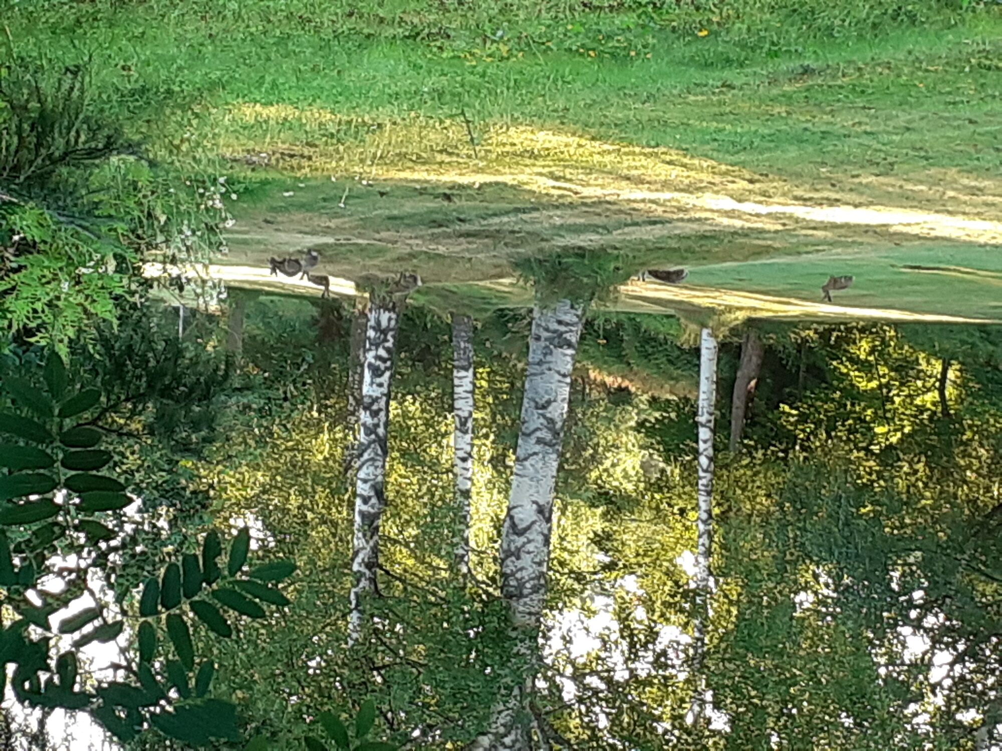 Valokuvaaja: Maarit Pietiläinen