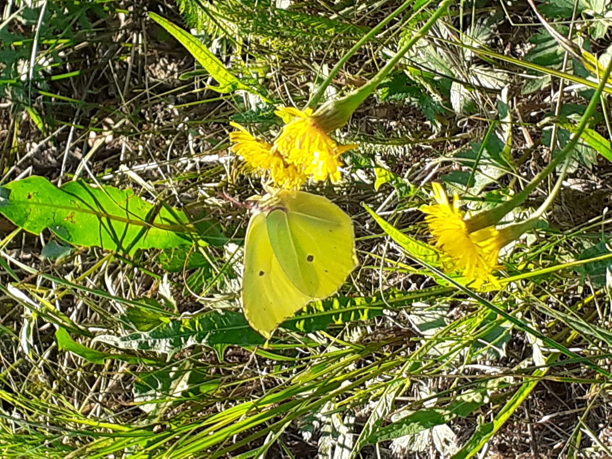 Valokuvaaja: Maarit Pietiläinen