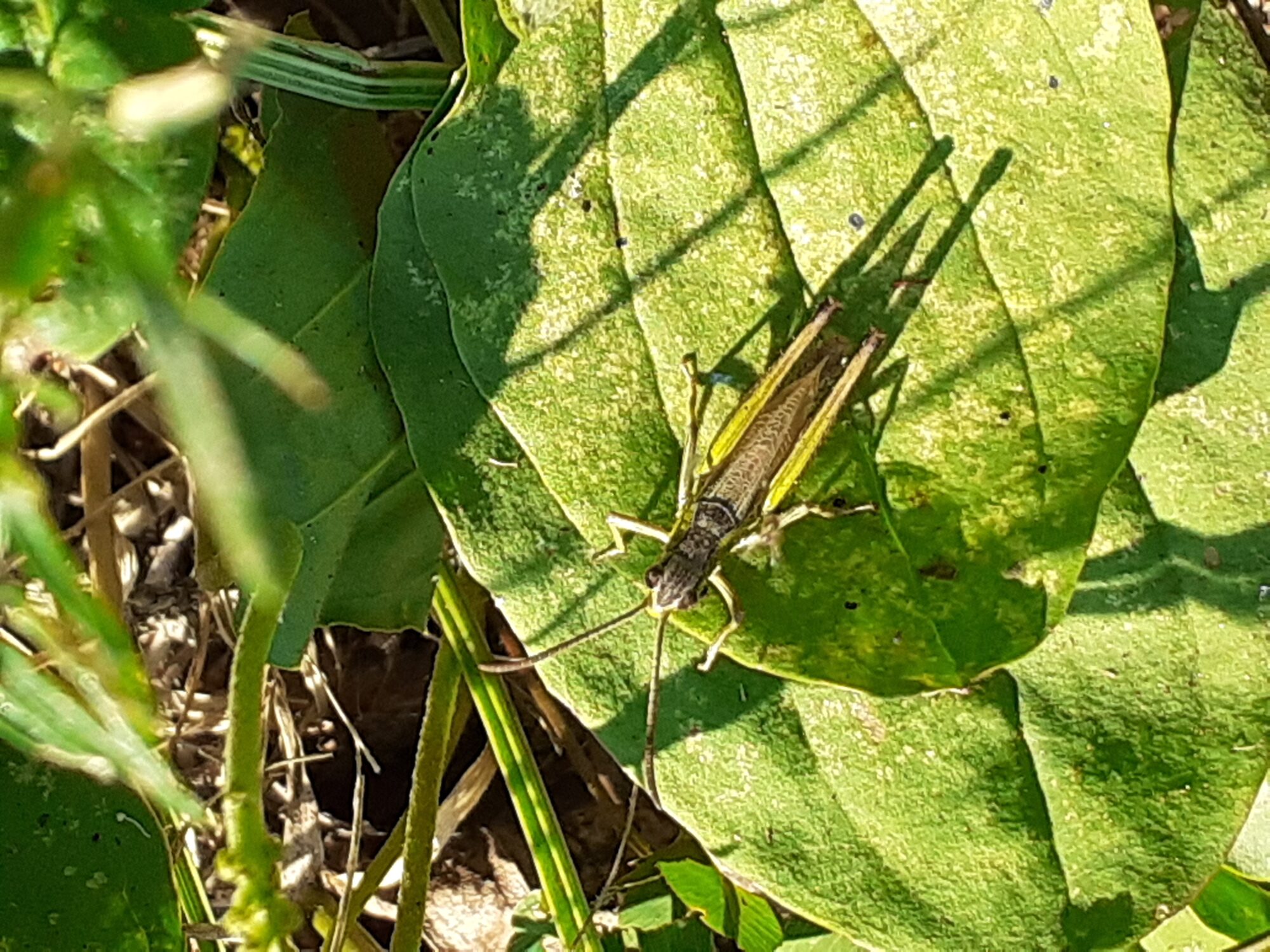 Valokuvaaja: Maarit Pietiläinen