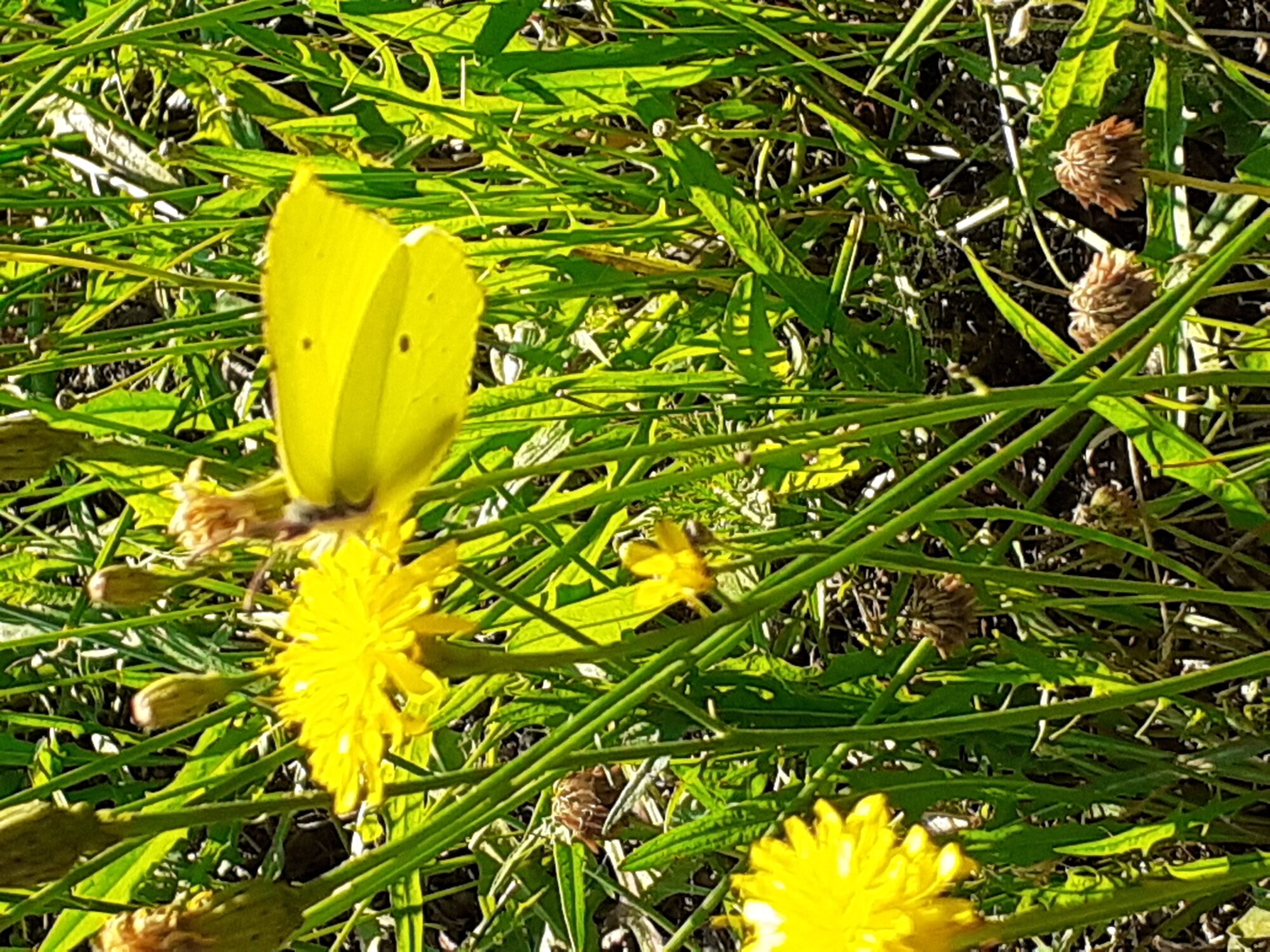 Valokuvaaja: Maarit Pietiläinen