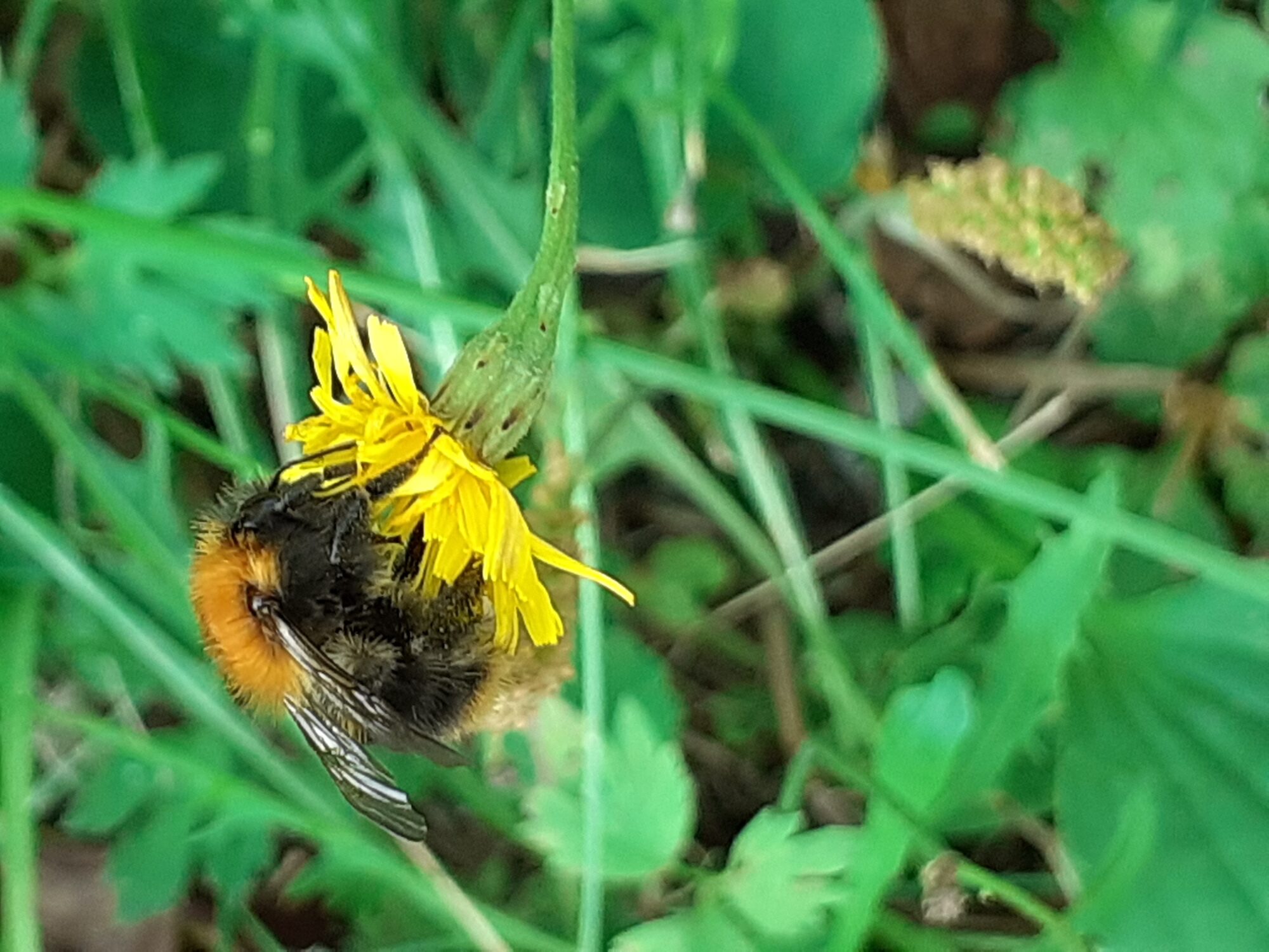 Valokuvaaja: Maarit Pietiläinen