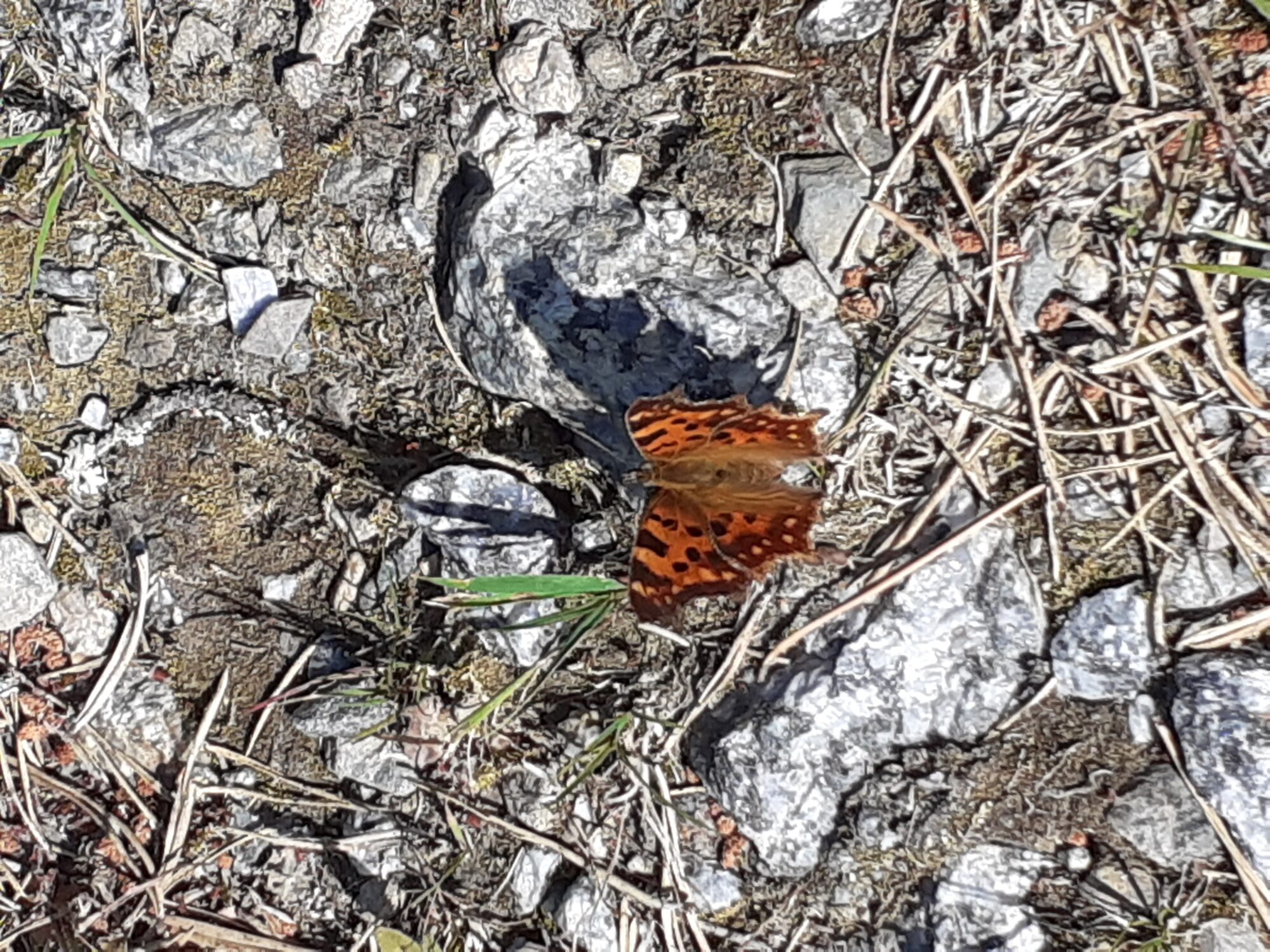 Valokuvaaja: Maarit Pietiläinen