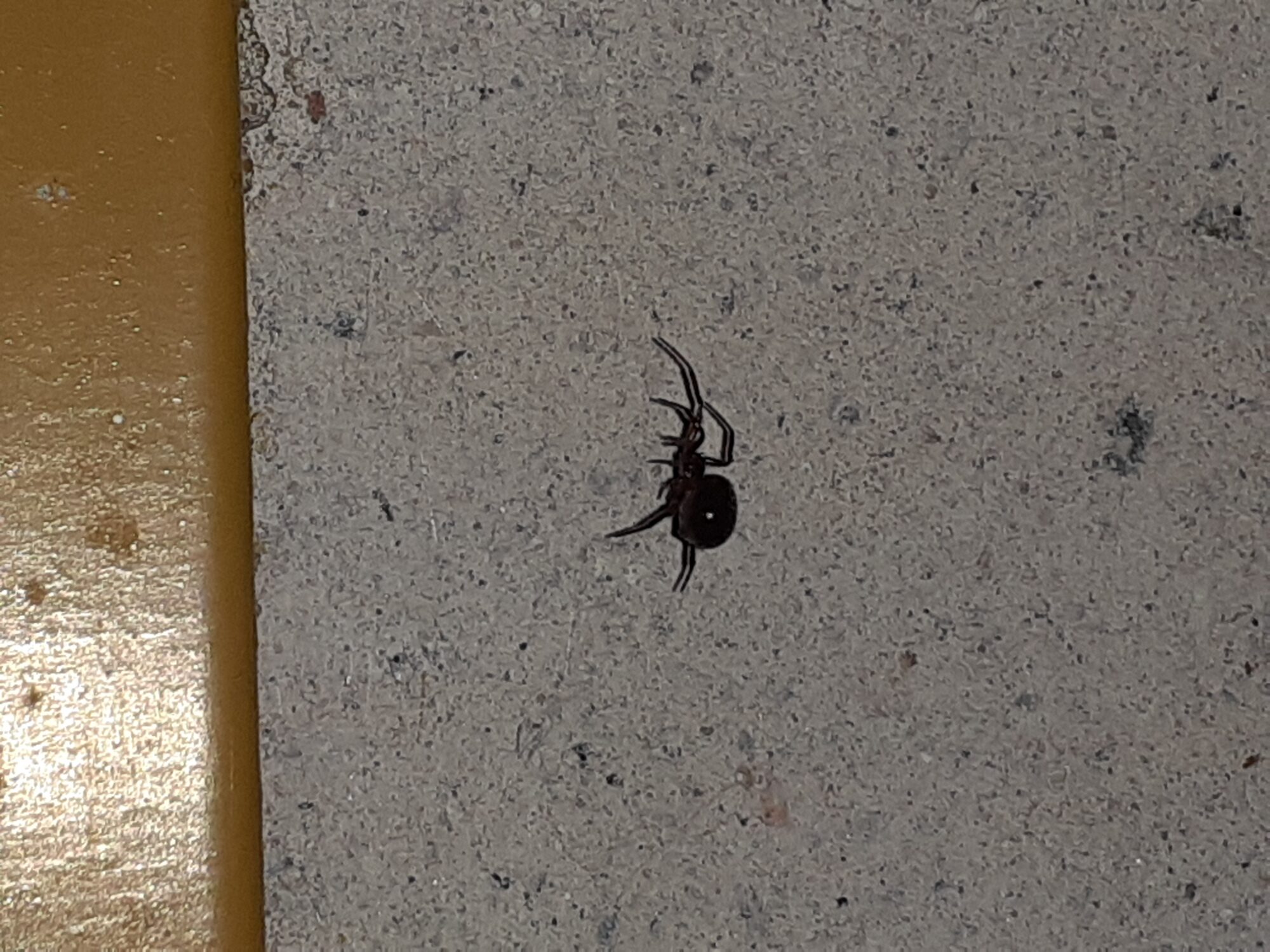 Valokuvaaja: Maarit Pietiläinen