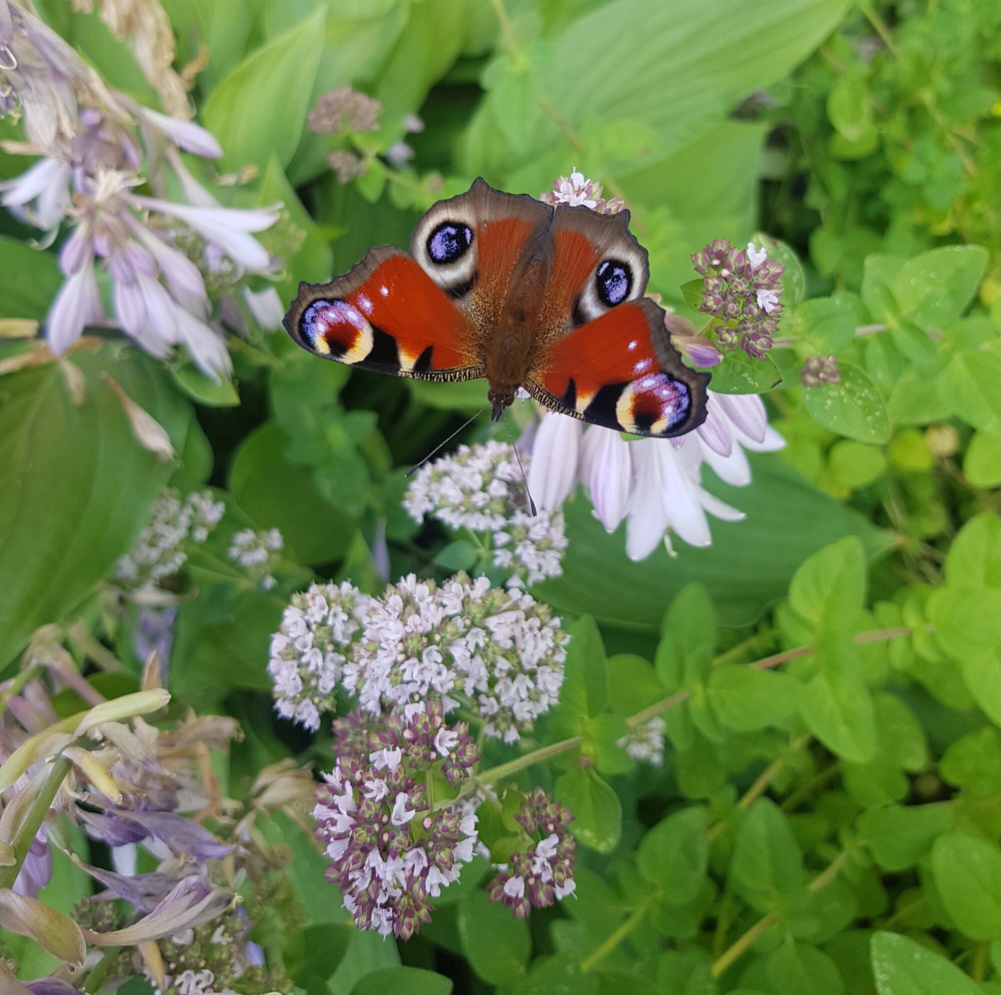 Valokuvaaja: Katja Kaasalainen