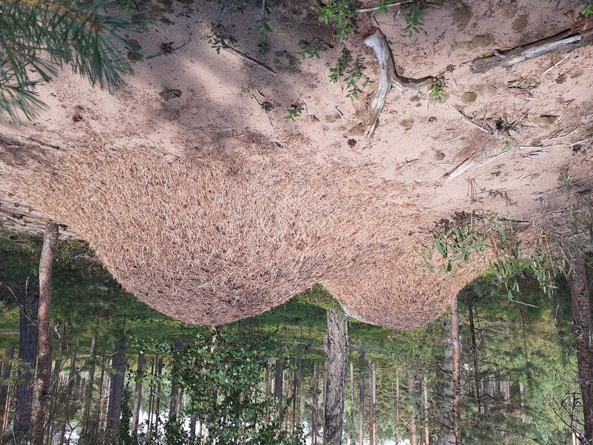 Valokuvaaja: Maarit Pietiläinen