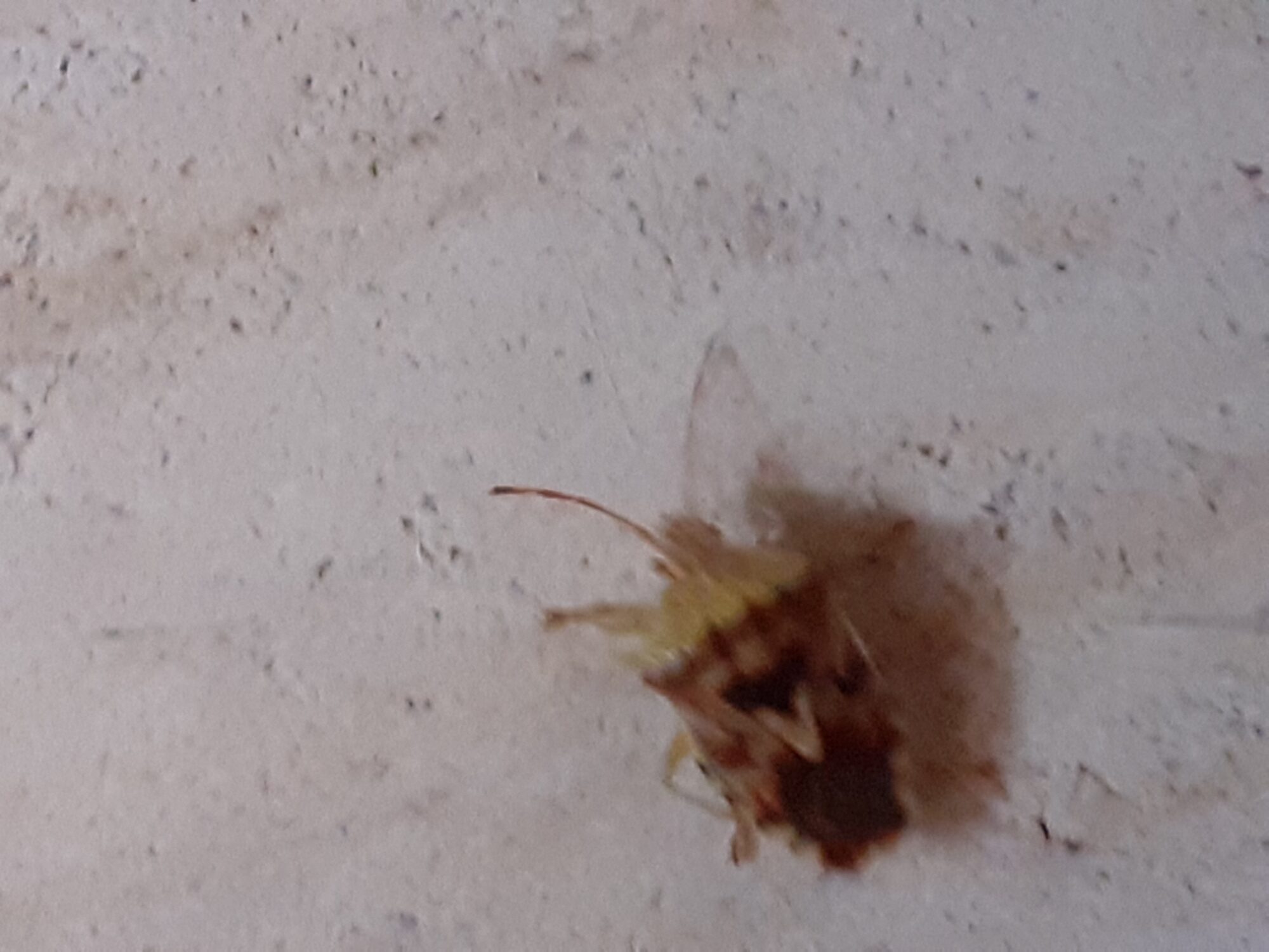 Valokuvaaja: Maarit Pietiläinen