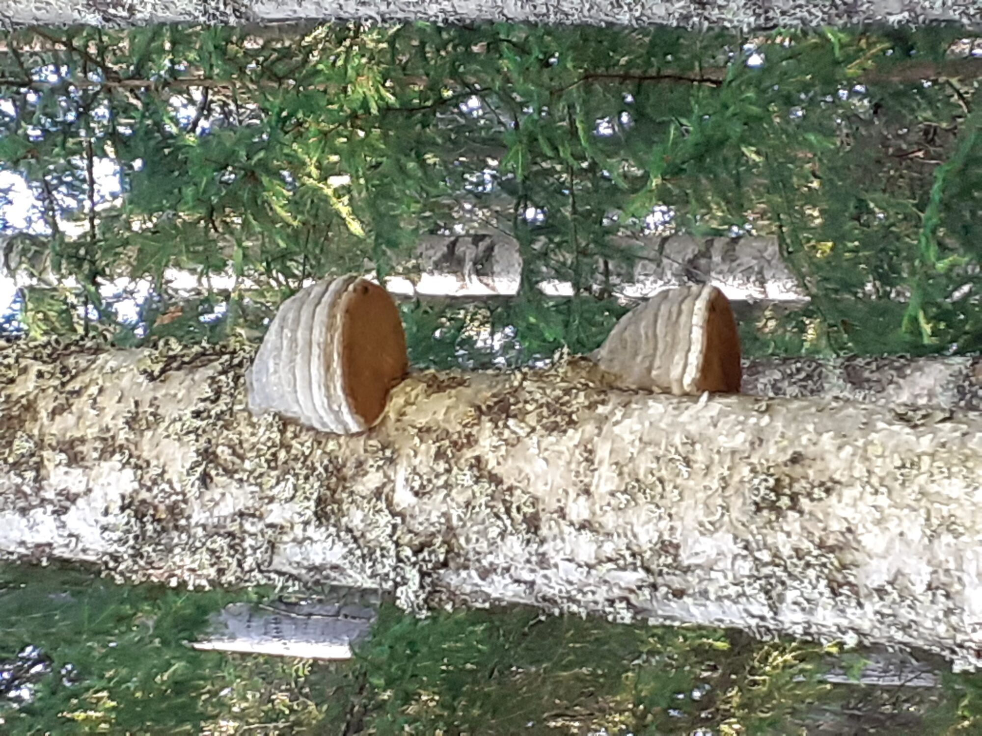 Valokuvaaja: Maarit Pietiläinen