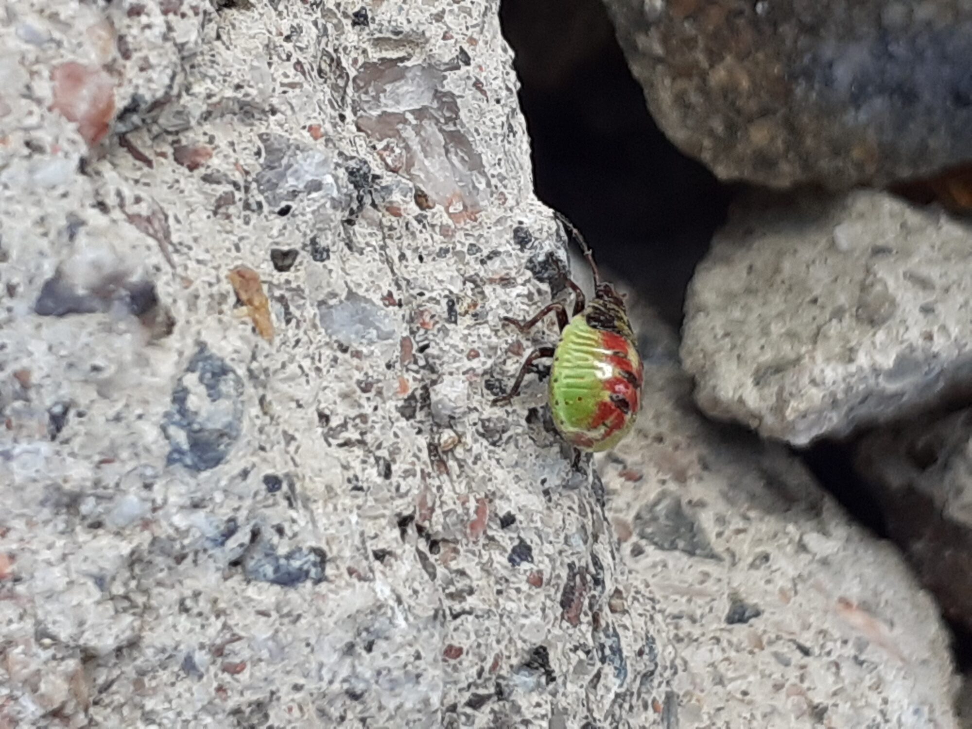 Valokuvaaja: Maarit Pietiläinen