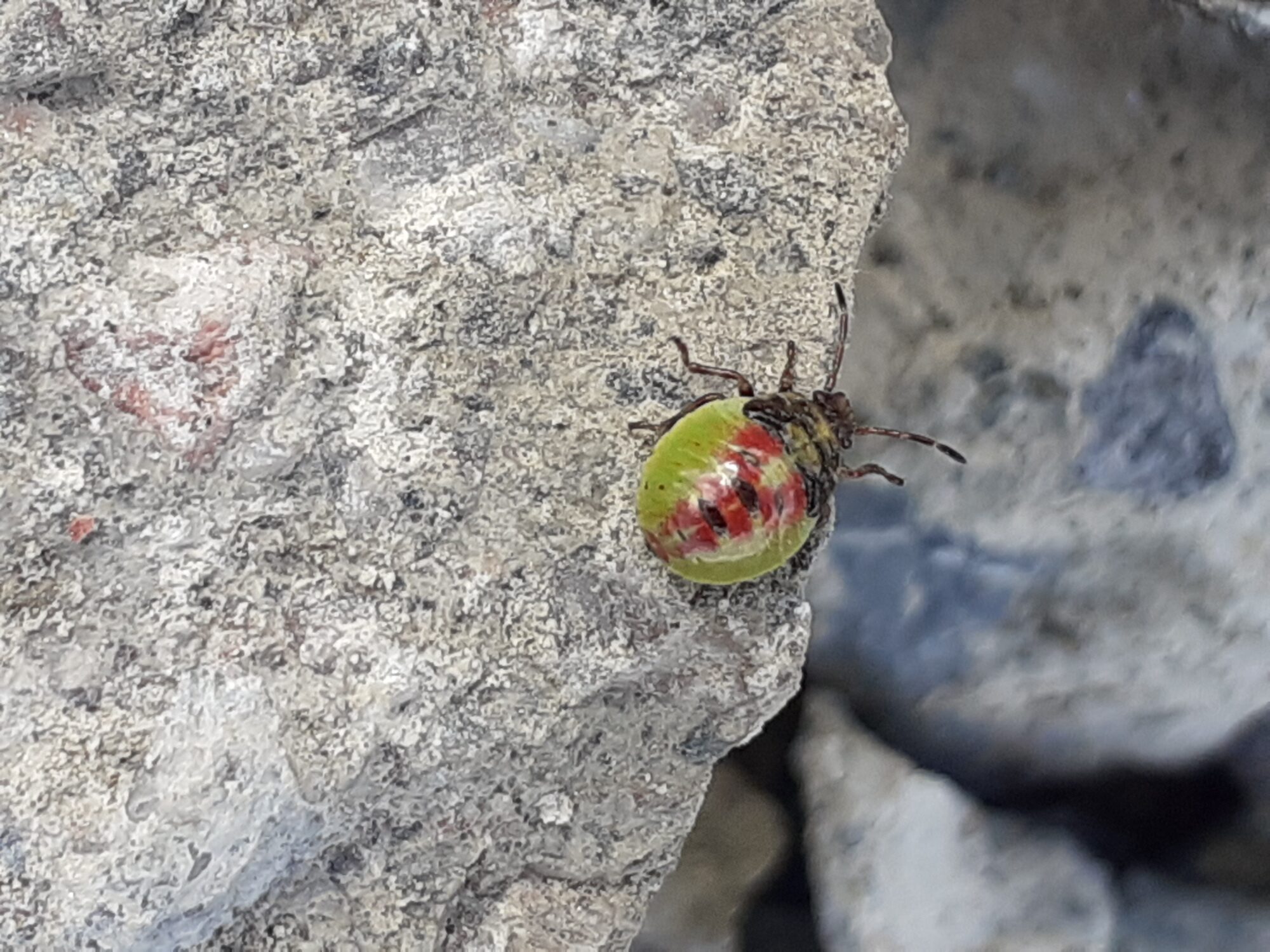 Valokuvaaja: Maarit Pietiläinen