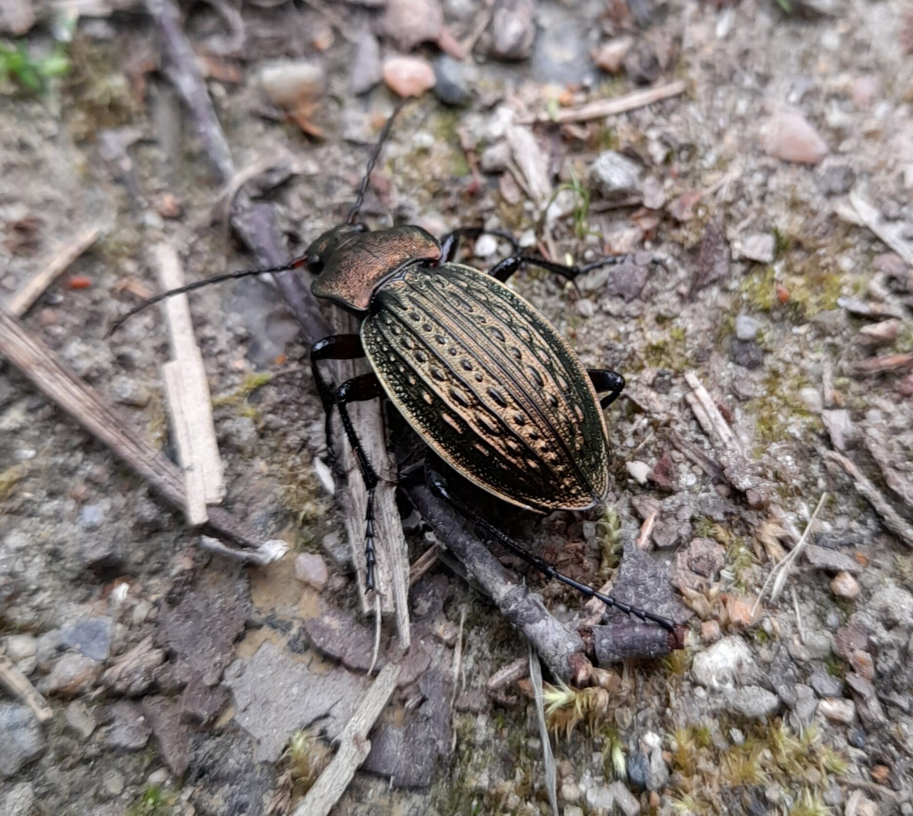 Valokuvaaja: Kirsikka Hoppula