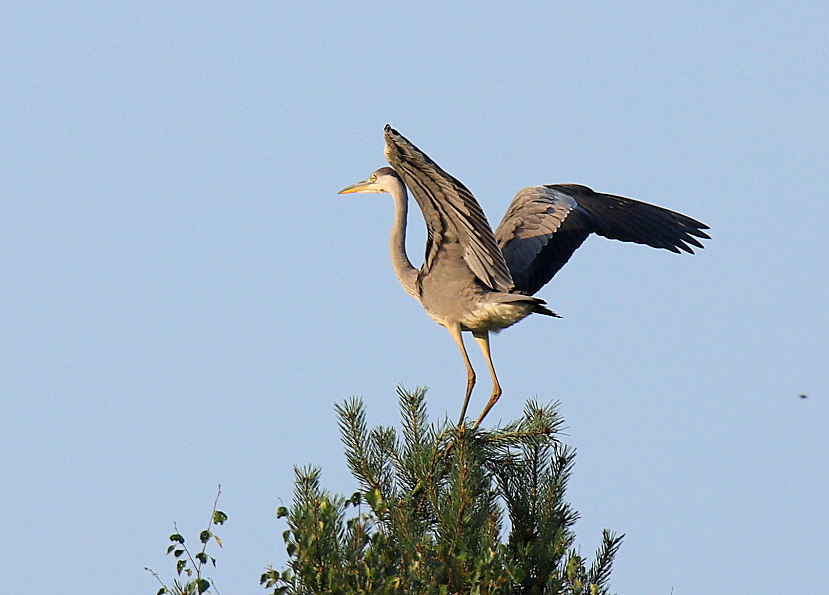 Valokuvaaja: sirpa jyske