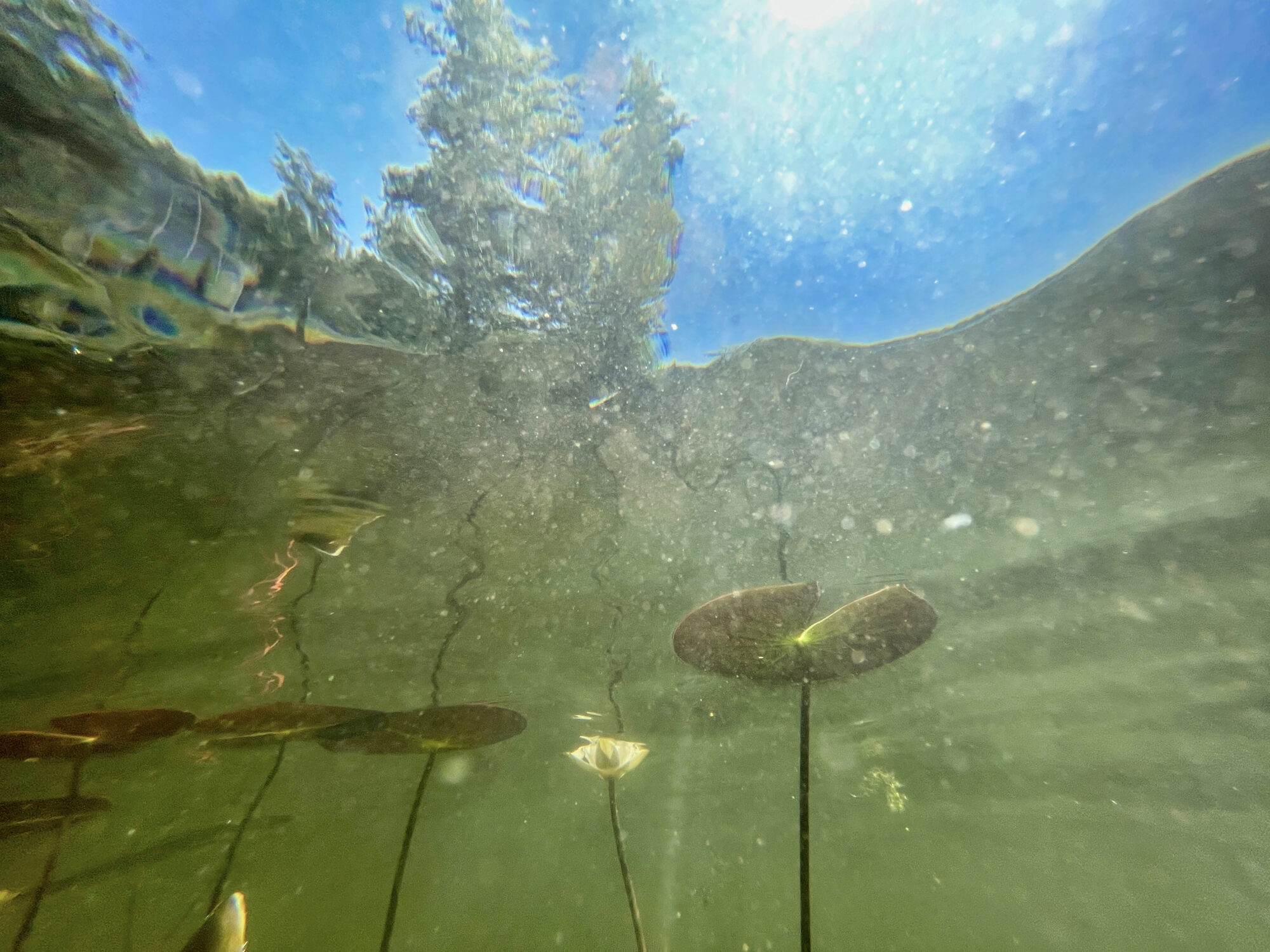 Valokuvaaja: Ari Branthin Valokuvaaja: Ari Branthin