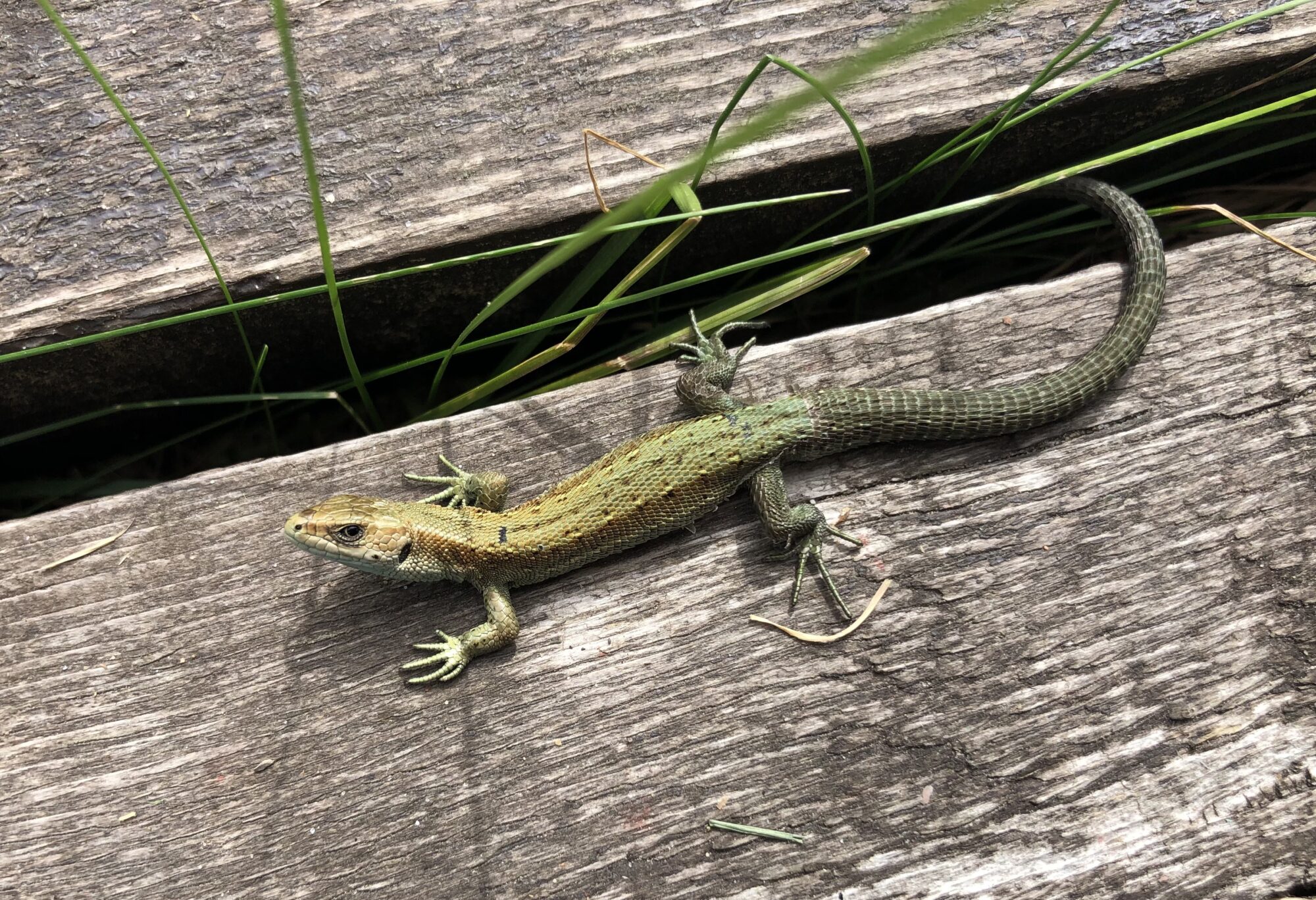 Valokuvaaja: Sini Kettunen