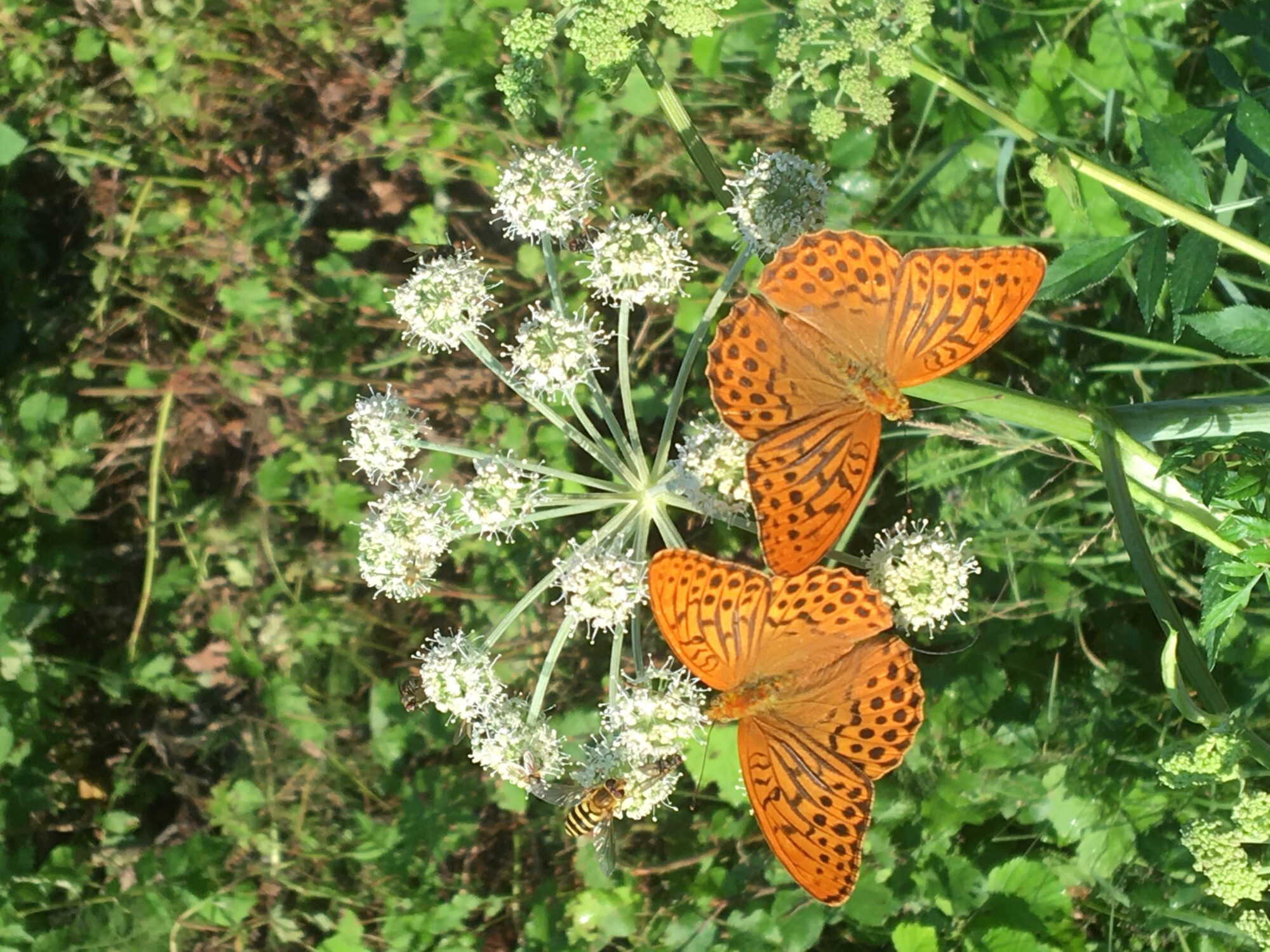 Valokuvaaja: Ulla Lahtinen