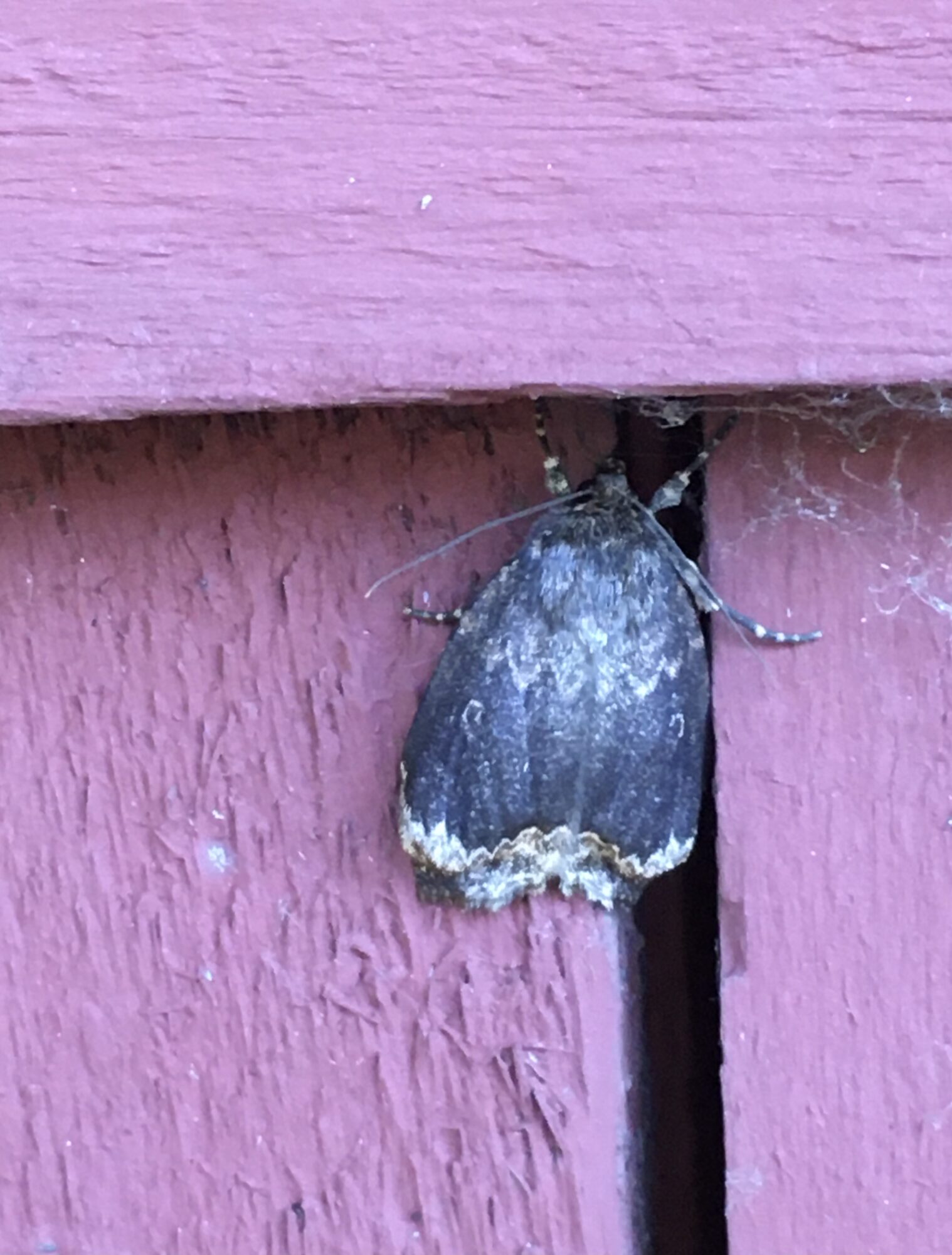 Valokuvaaja: Elli Kempas