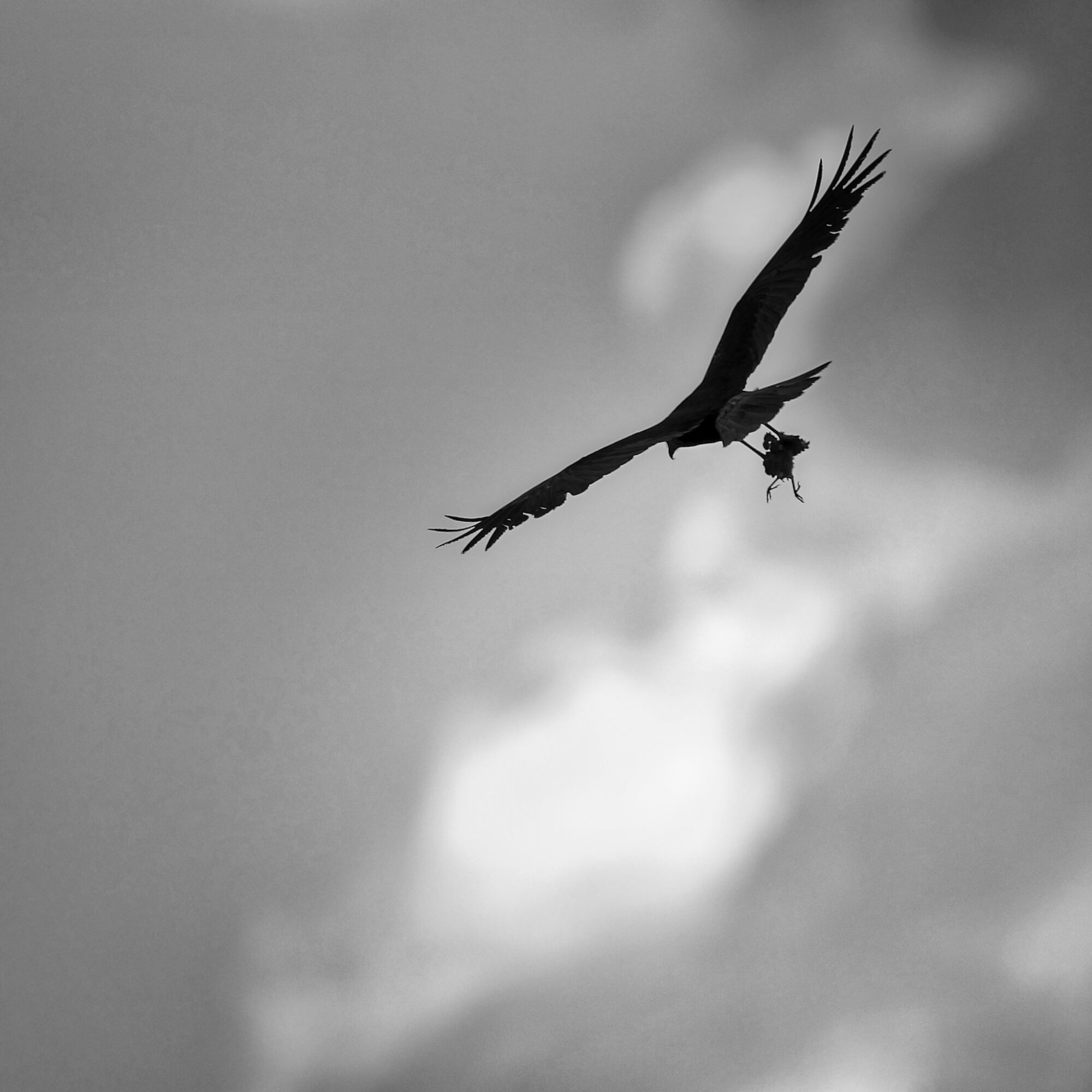 Valokuvaaja: Ari Branthin