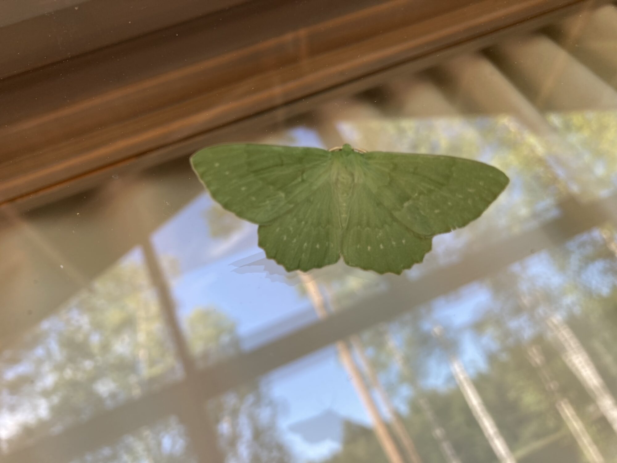 Valokuvaaja: Sanna Väisänen