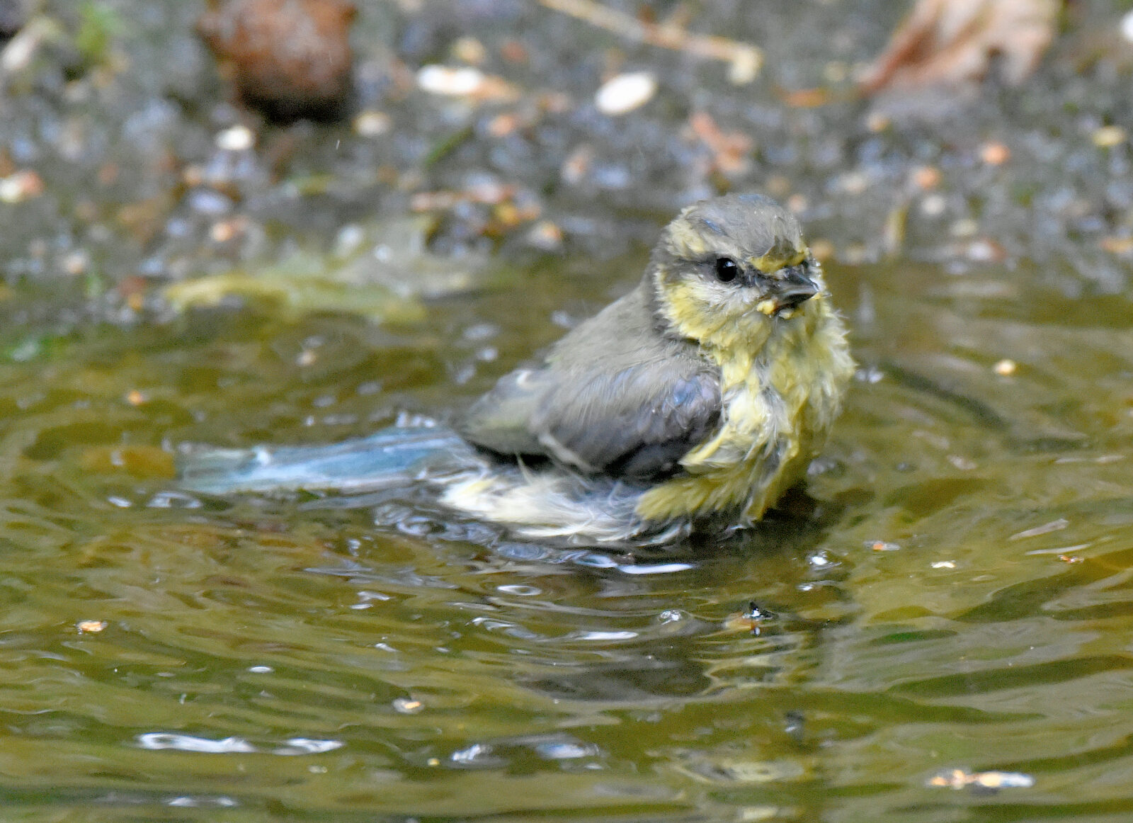 Valokuvaaja: Reijo Juurinen