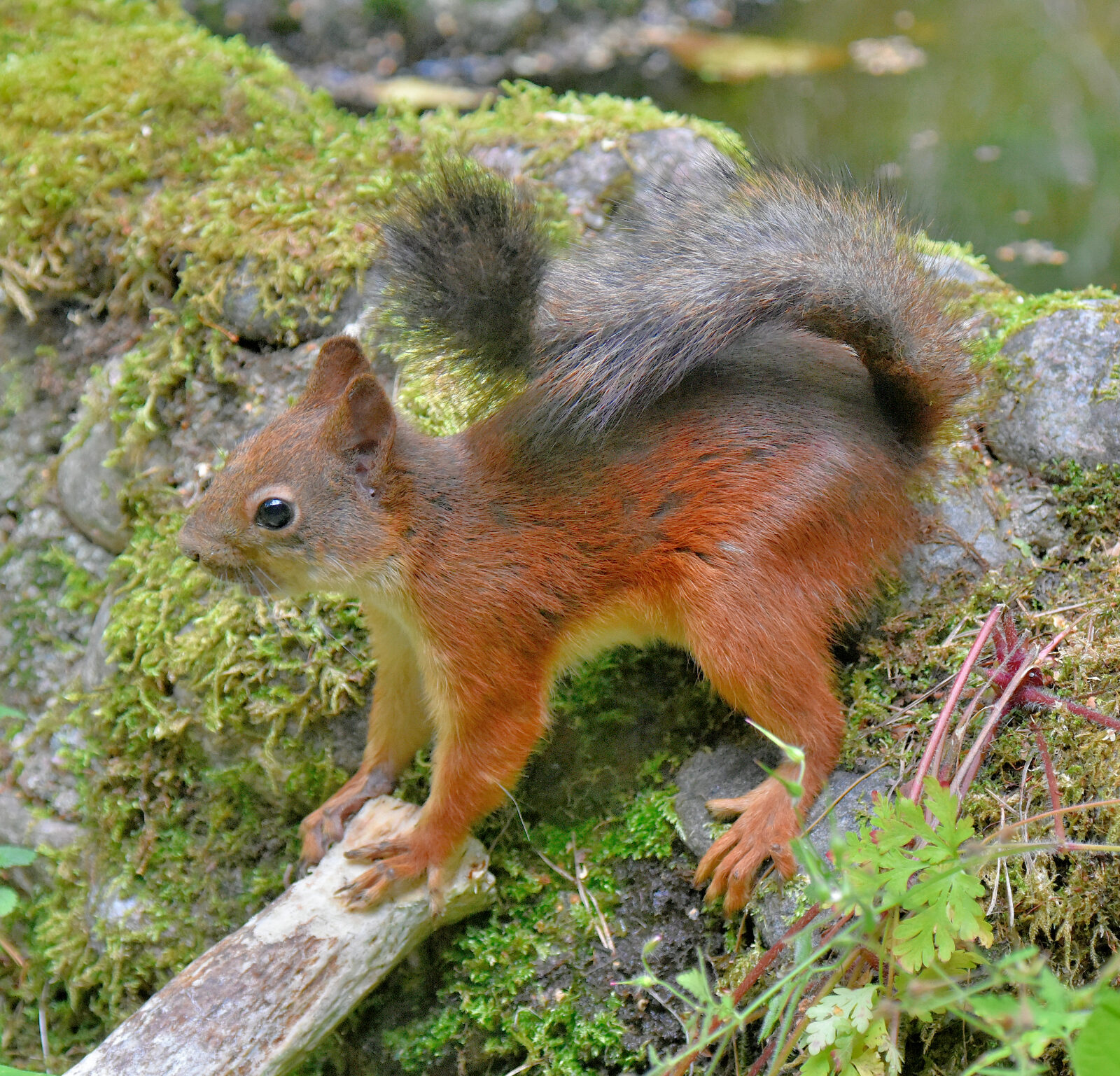 Valokuvaaja: Reijo Juurinen