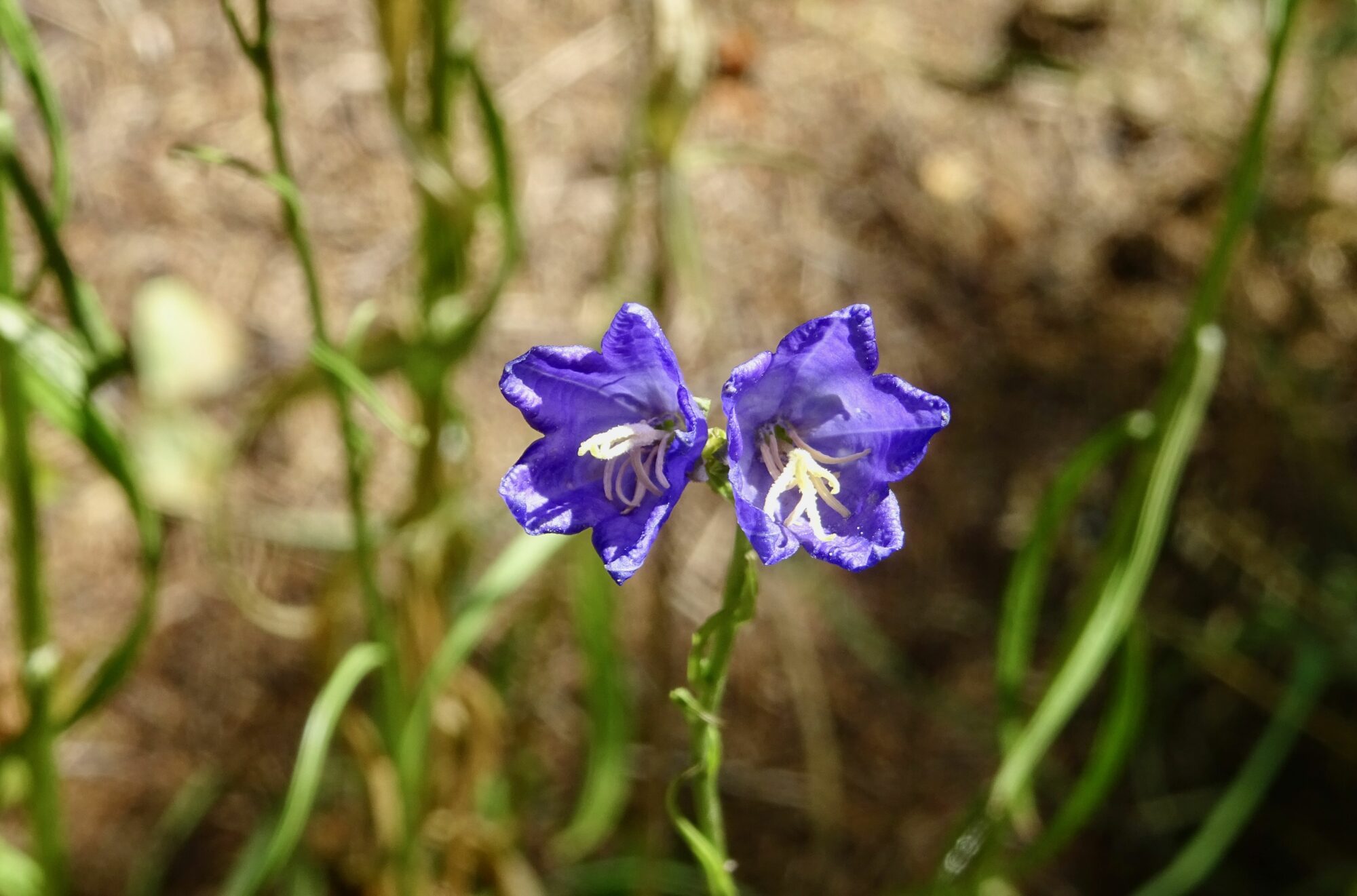 Valokuvaaja: Liisa Niiva-Korpela