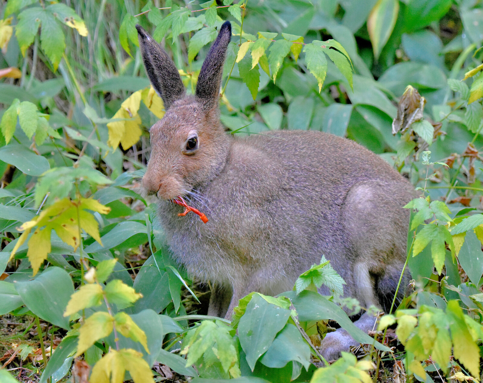 Valokuvaaja: Reijo Juurinen