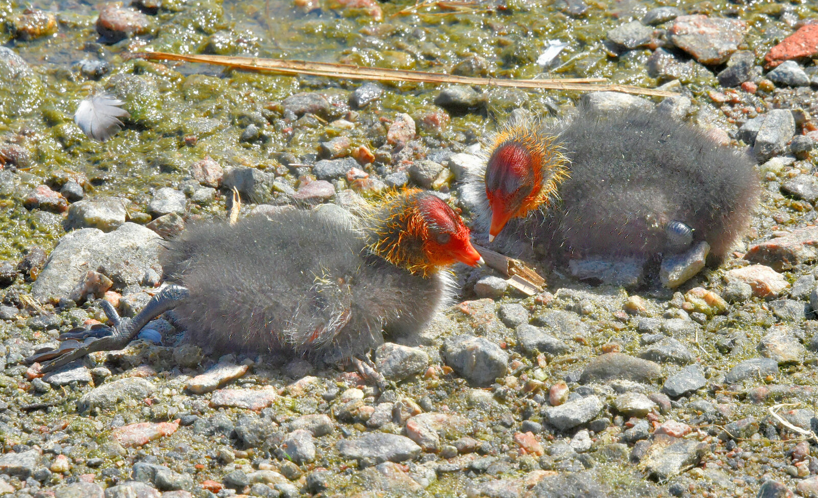 Valokuvaaja: Reijo Juurinen