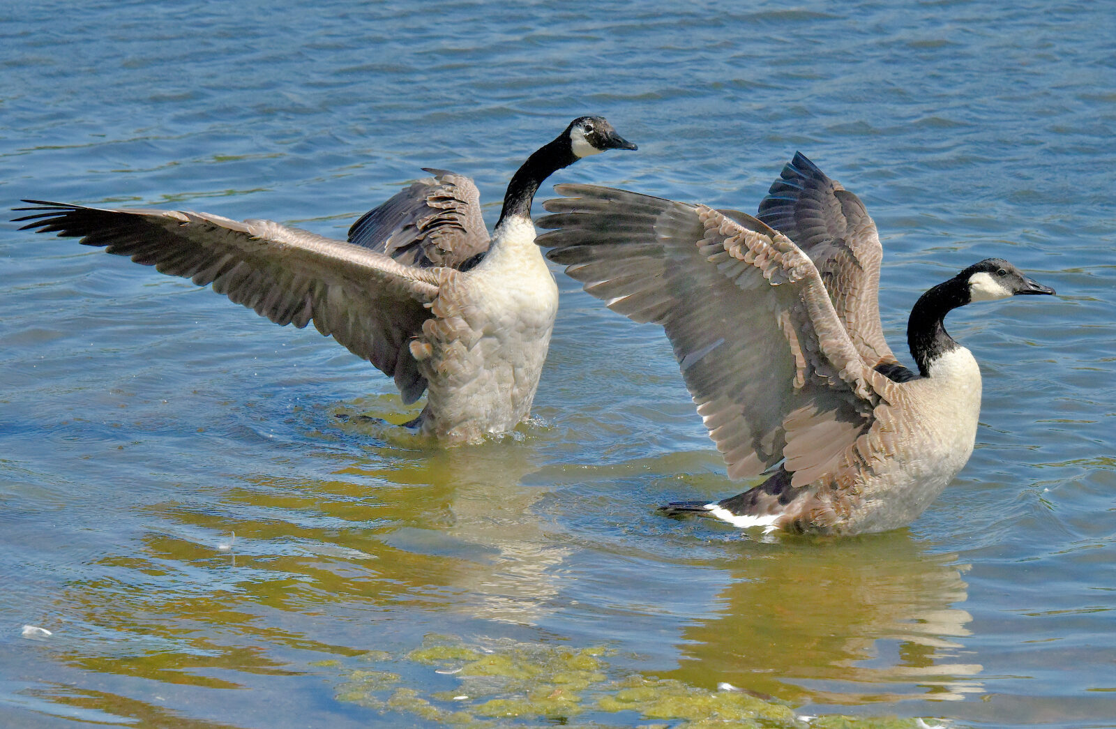 Valokuvaaja: Reijo Juurinen