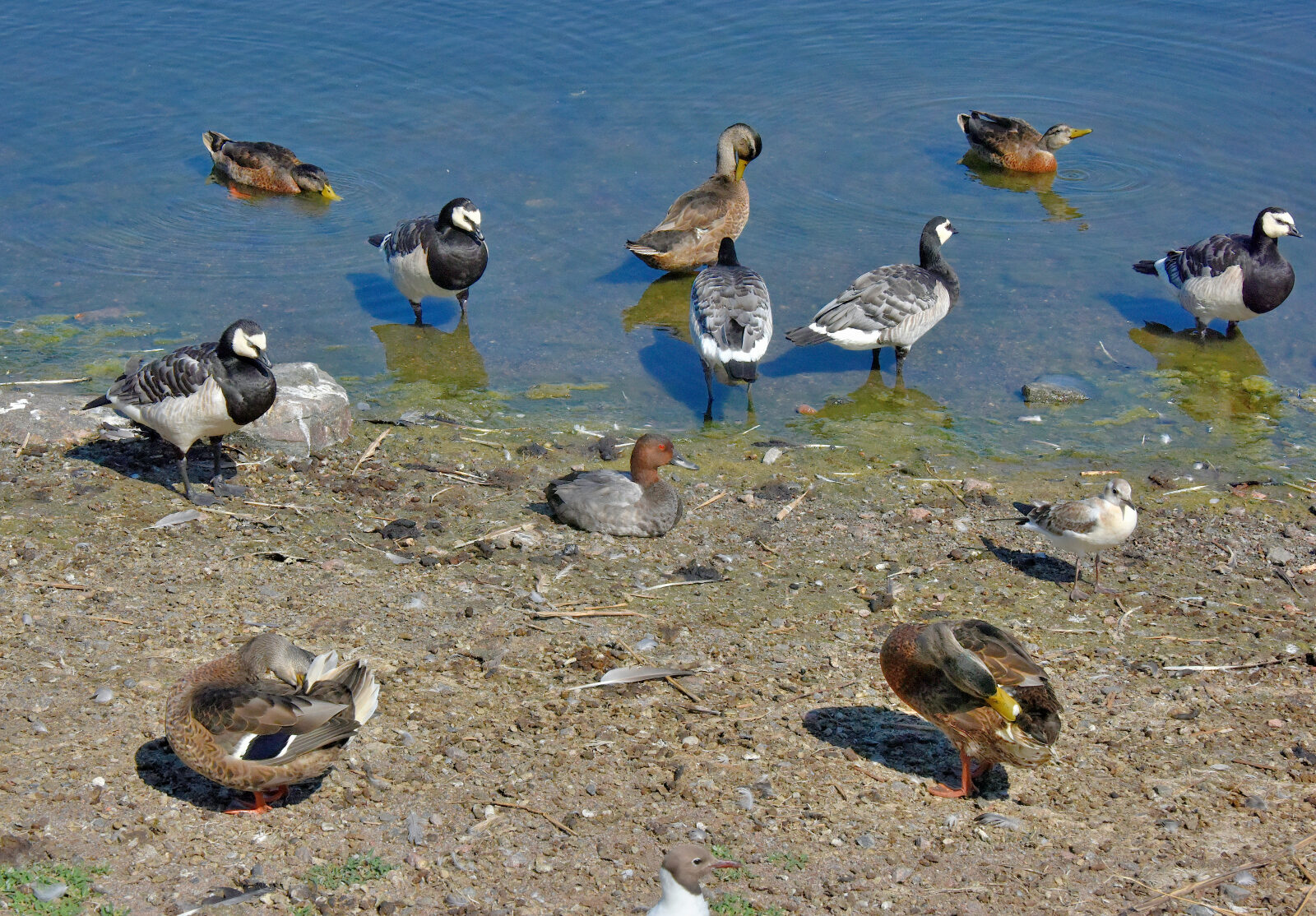 Valokuvaaja: Reijo Juurinen