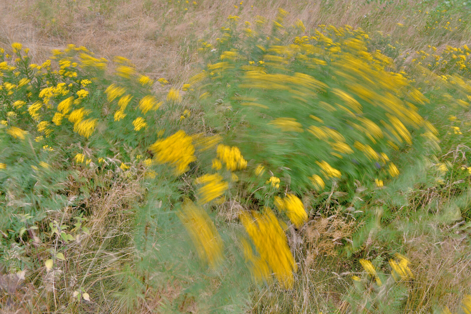 Valokuvaaja: Reijo Juurinen
