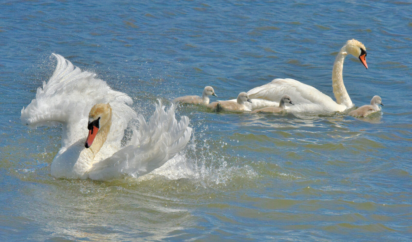 Valokuvaaja: Reijo Juurinen