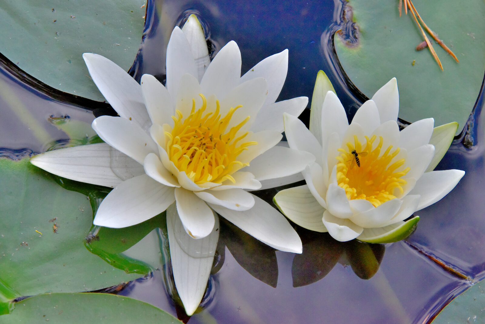 Valokuvaaja: Reijo Juurinen