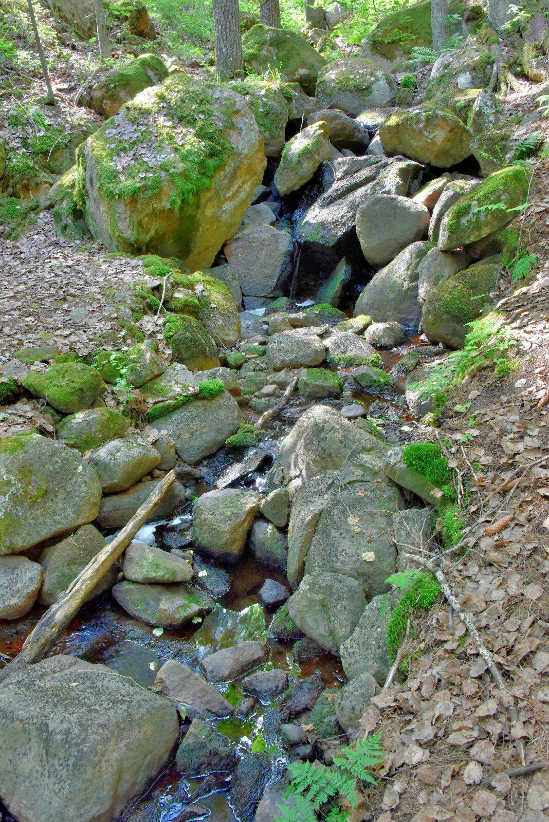 Valokuvaaja: Reijo Juurinen