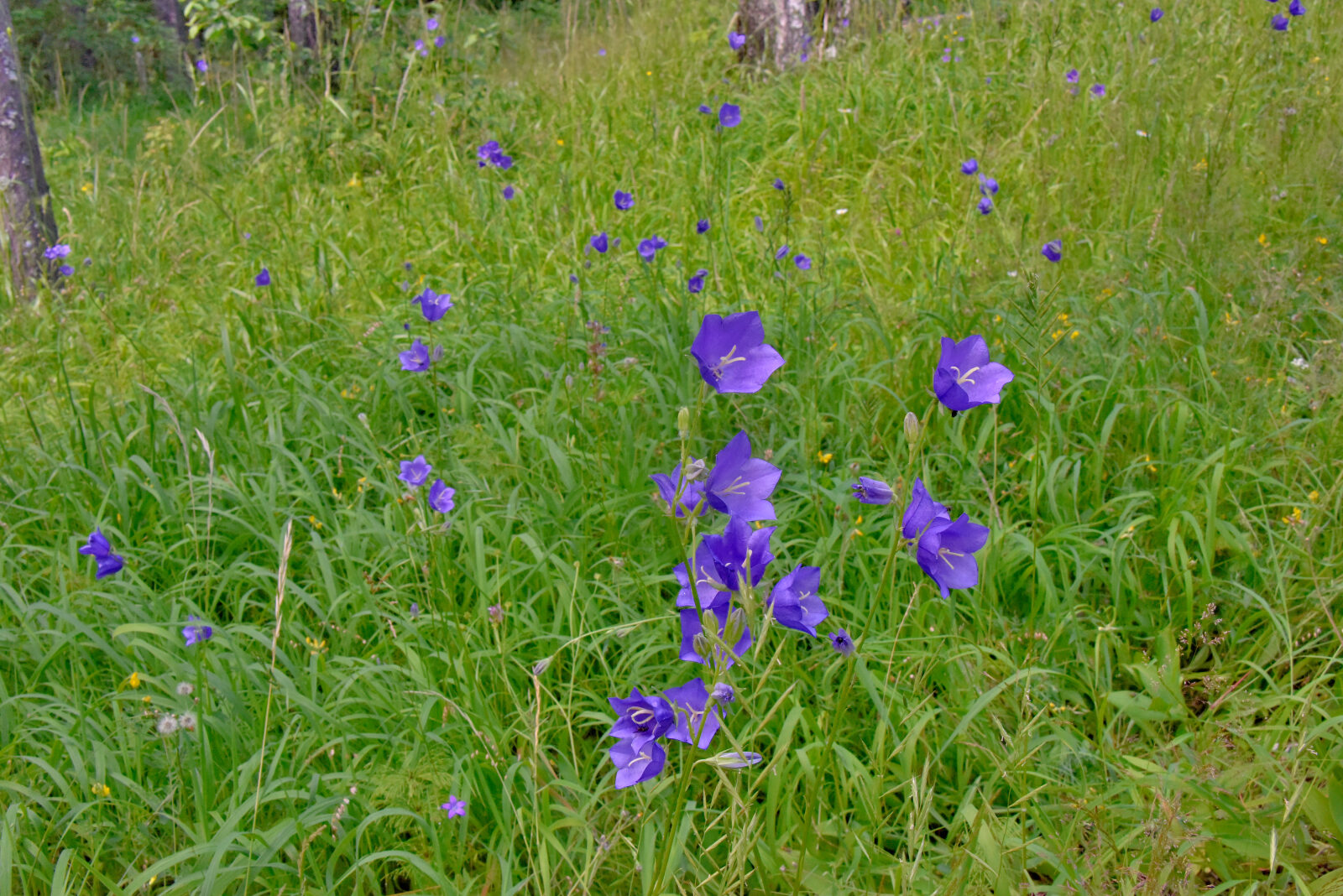Valokuvaaja: Reijo Juurinen