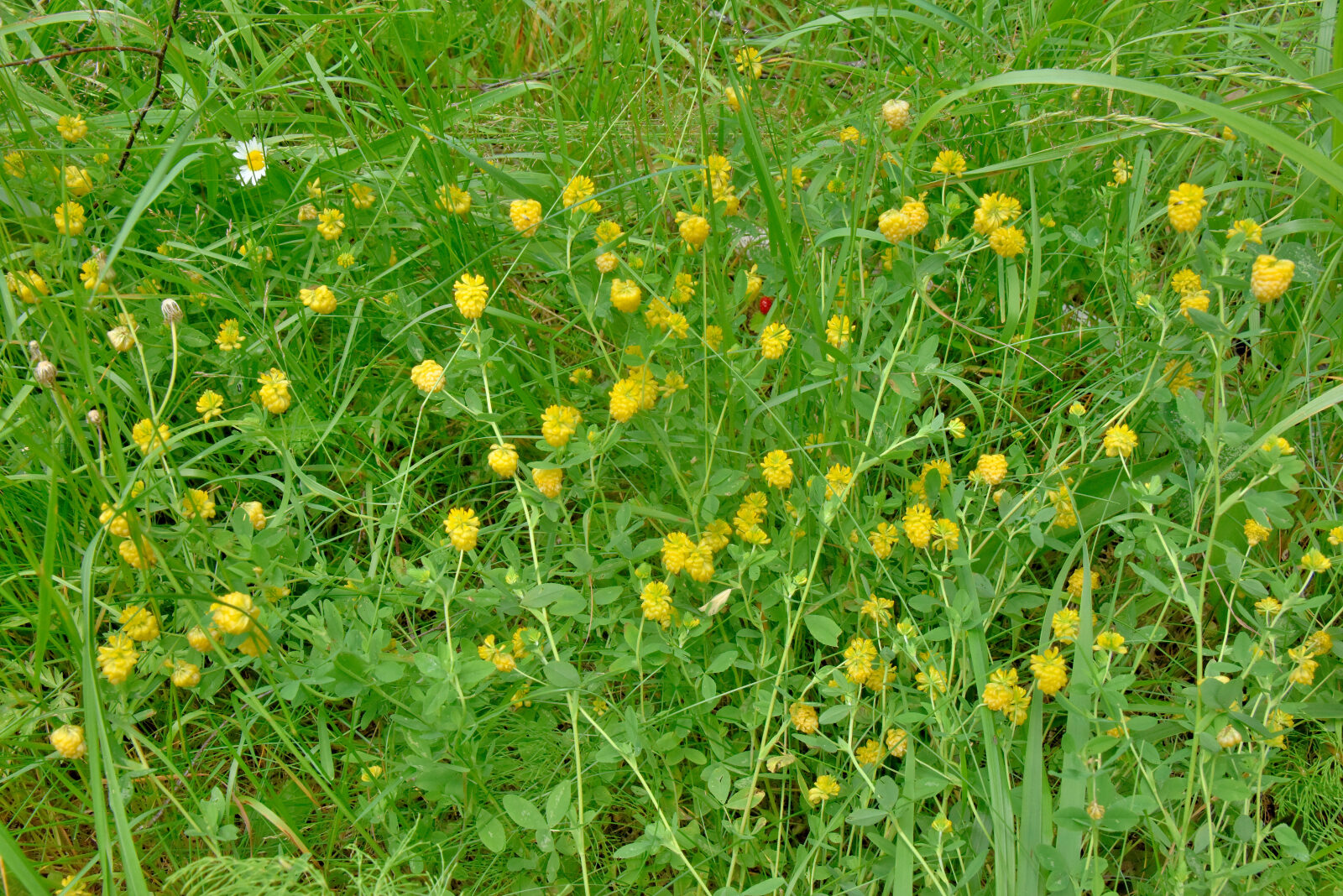 Valokuvaaja: Reijo Juurinen Valokuvaaja: Reijo Juurinen